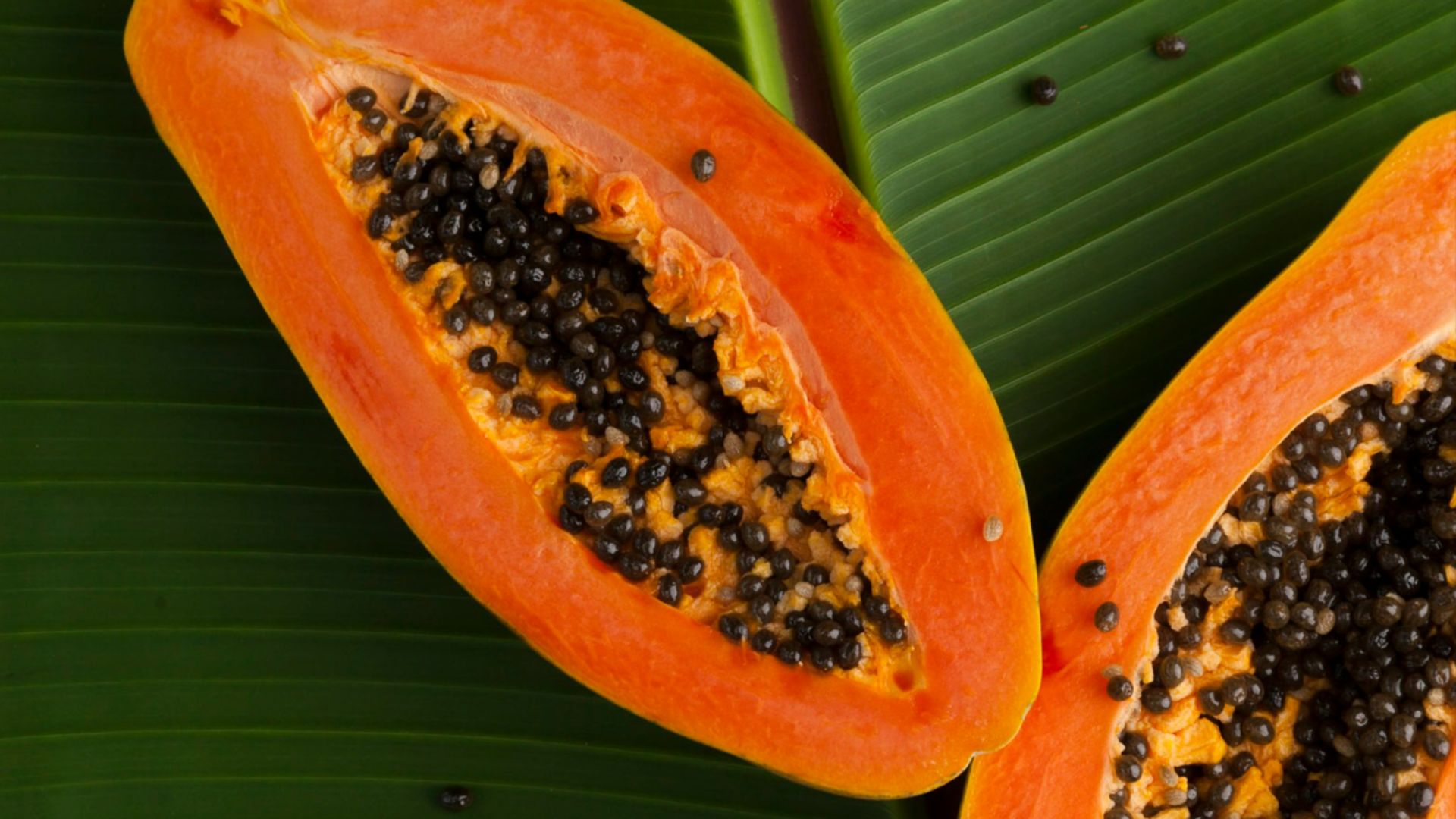 13. Certains types de fruits tropicaux