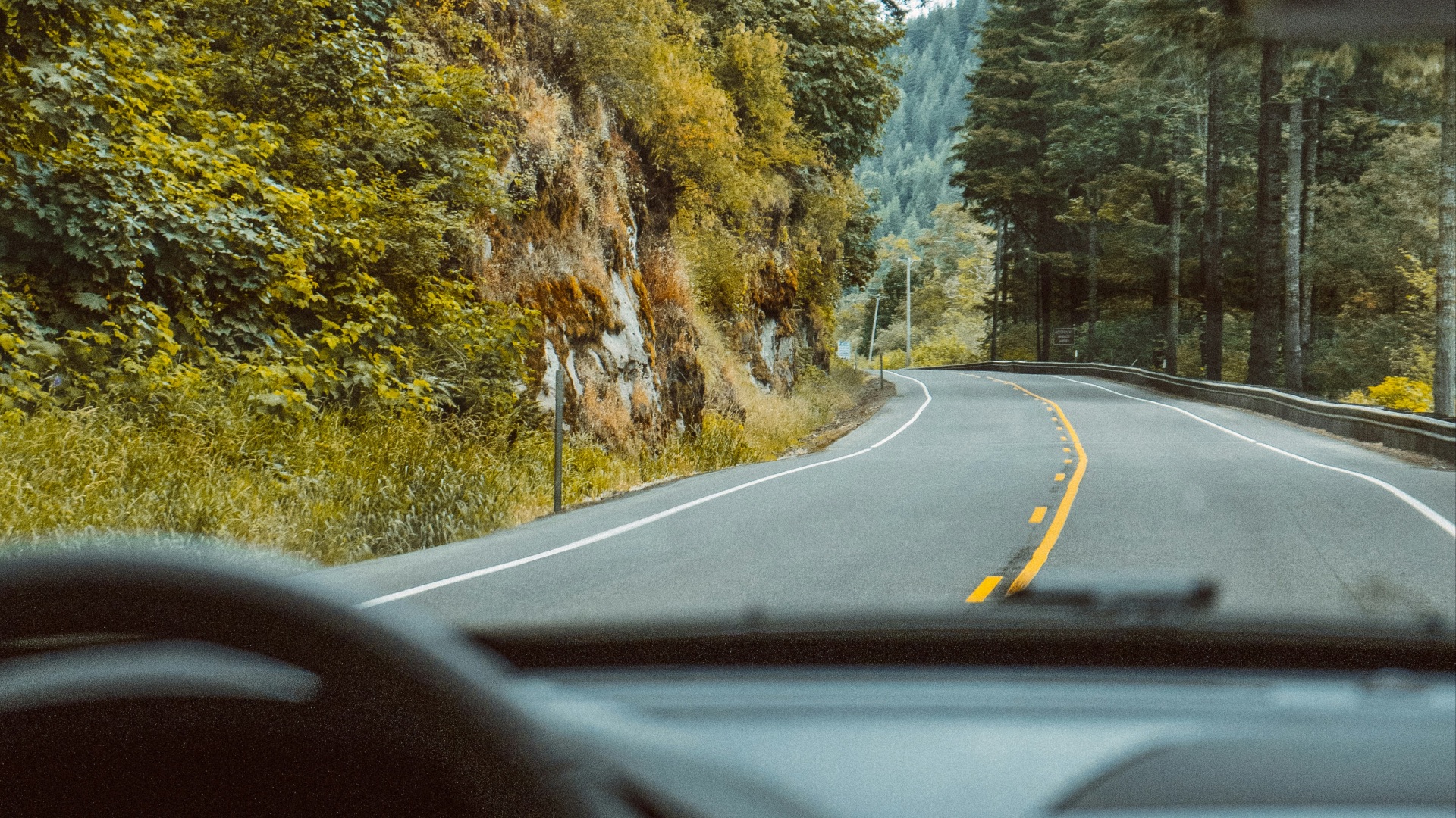 8. Chasse sur route panoramique