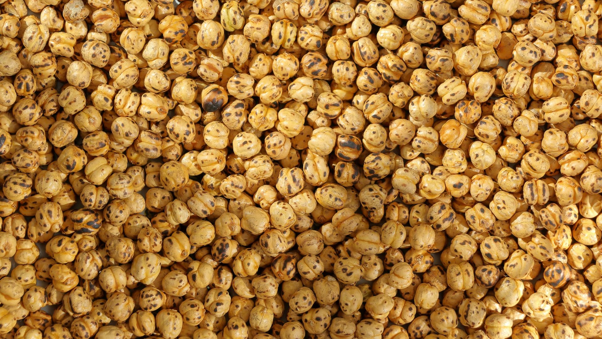 7. Pois chiches grillés