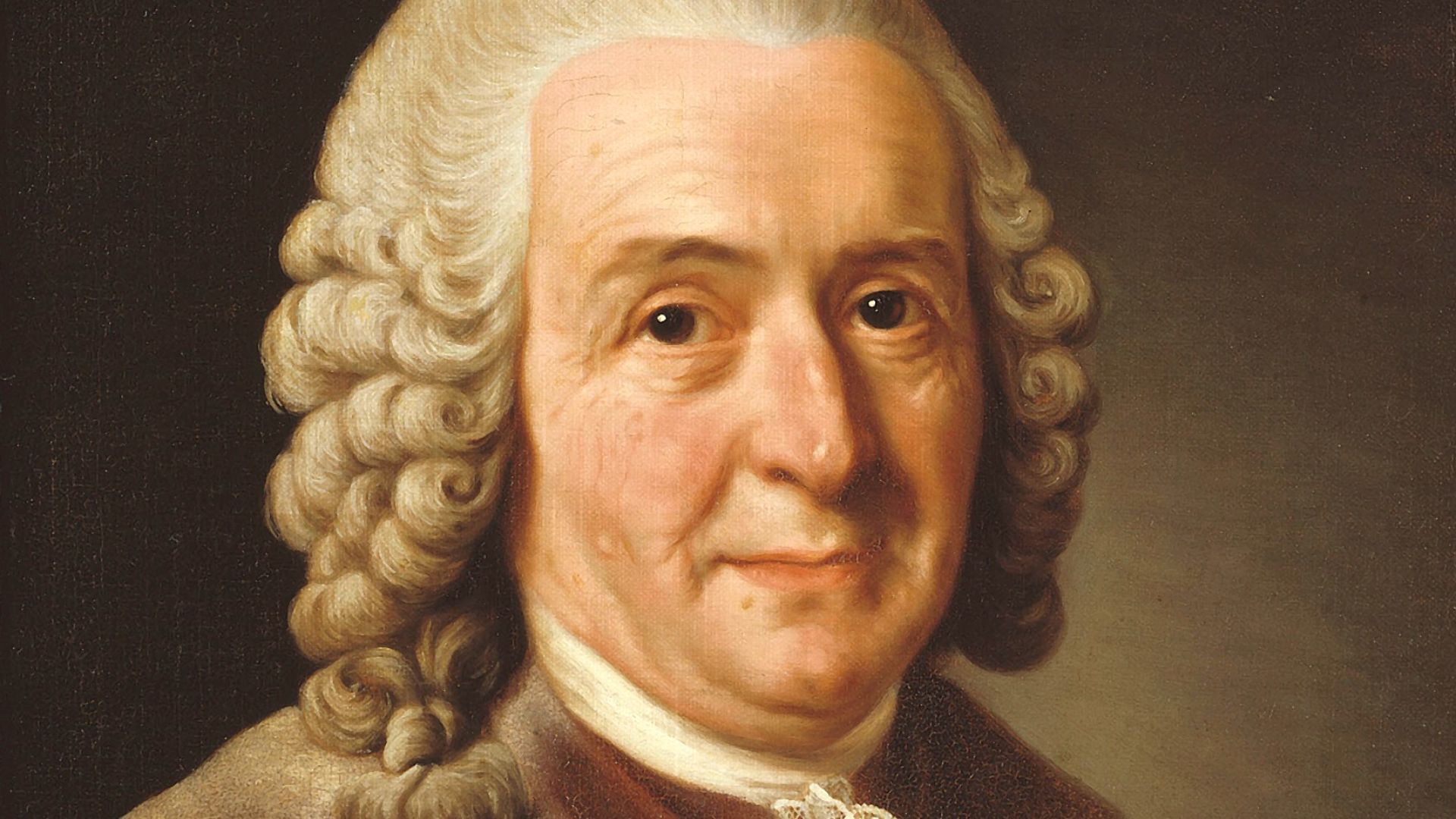 12. Les bêtes mythiques de Carl Linnaeus
