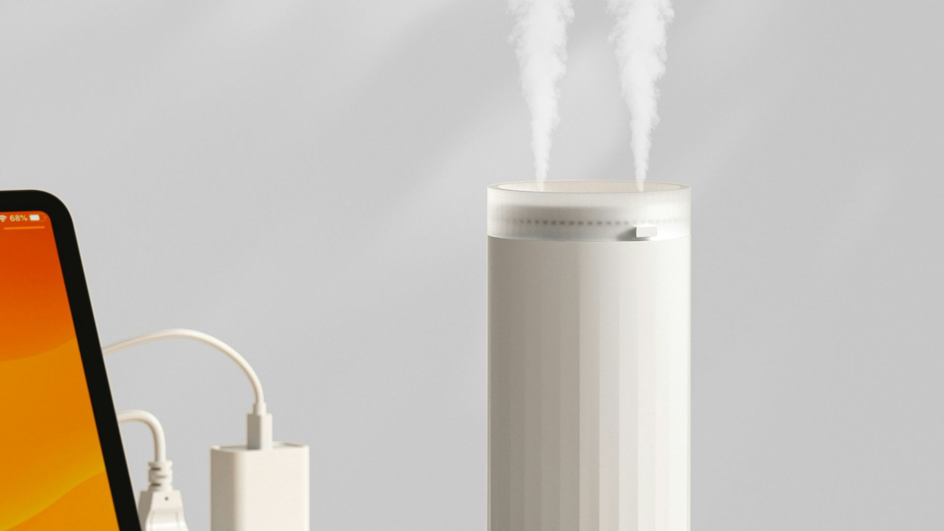 7. Maintenez l'humidité dans une zone « ni trop sèche, ni trop humide ».