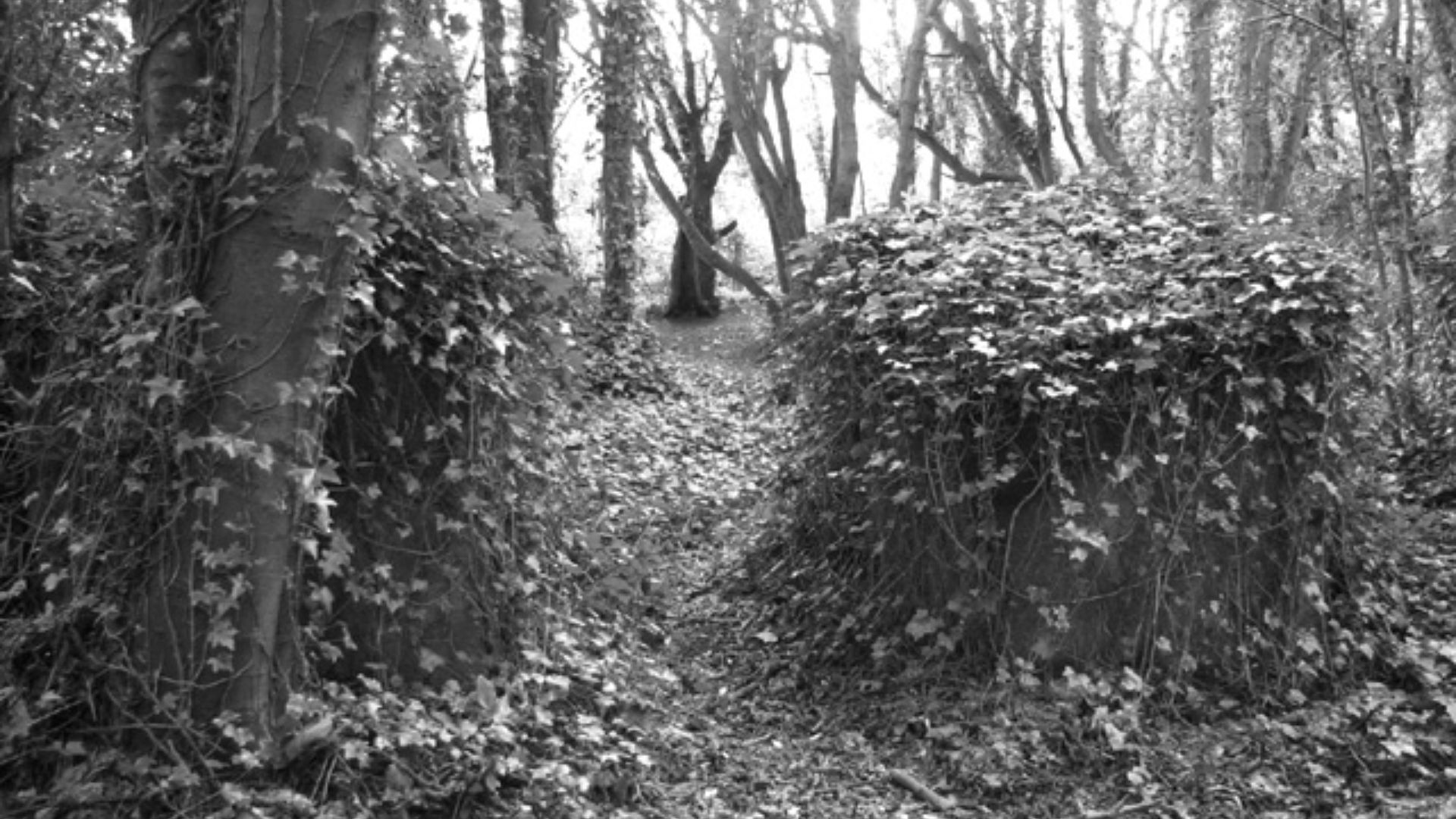 2. L'Axe contre les Alliés