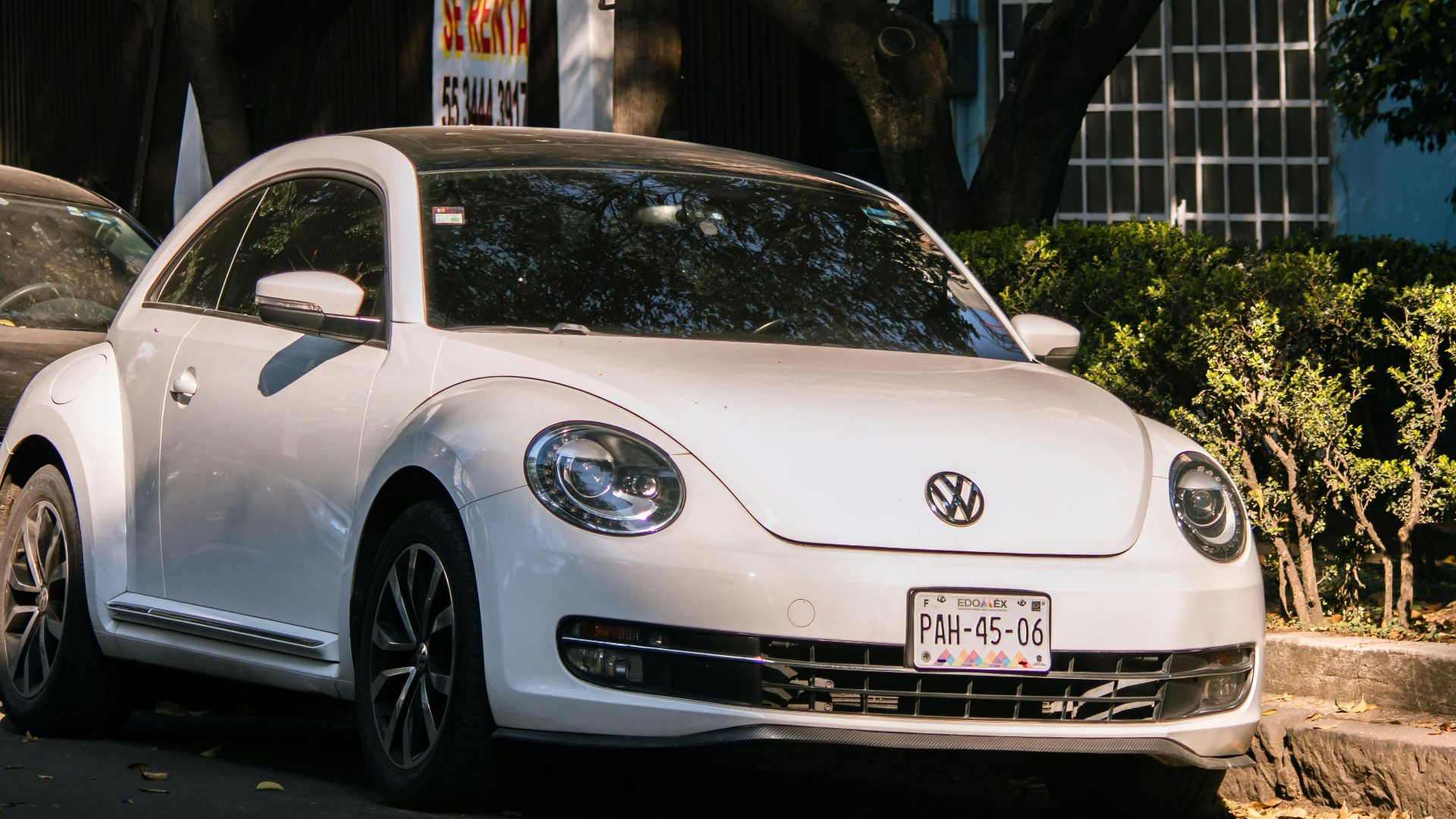 6. Volkswagen Beetle (ère moderne)