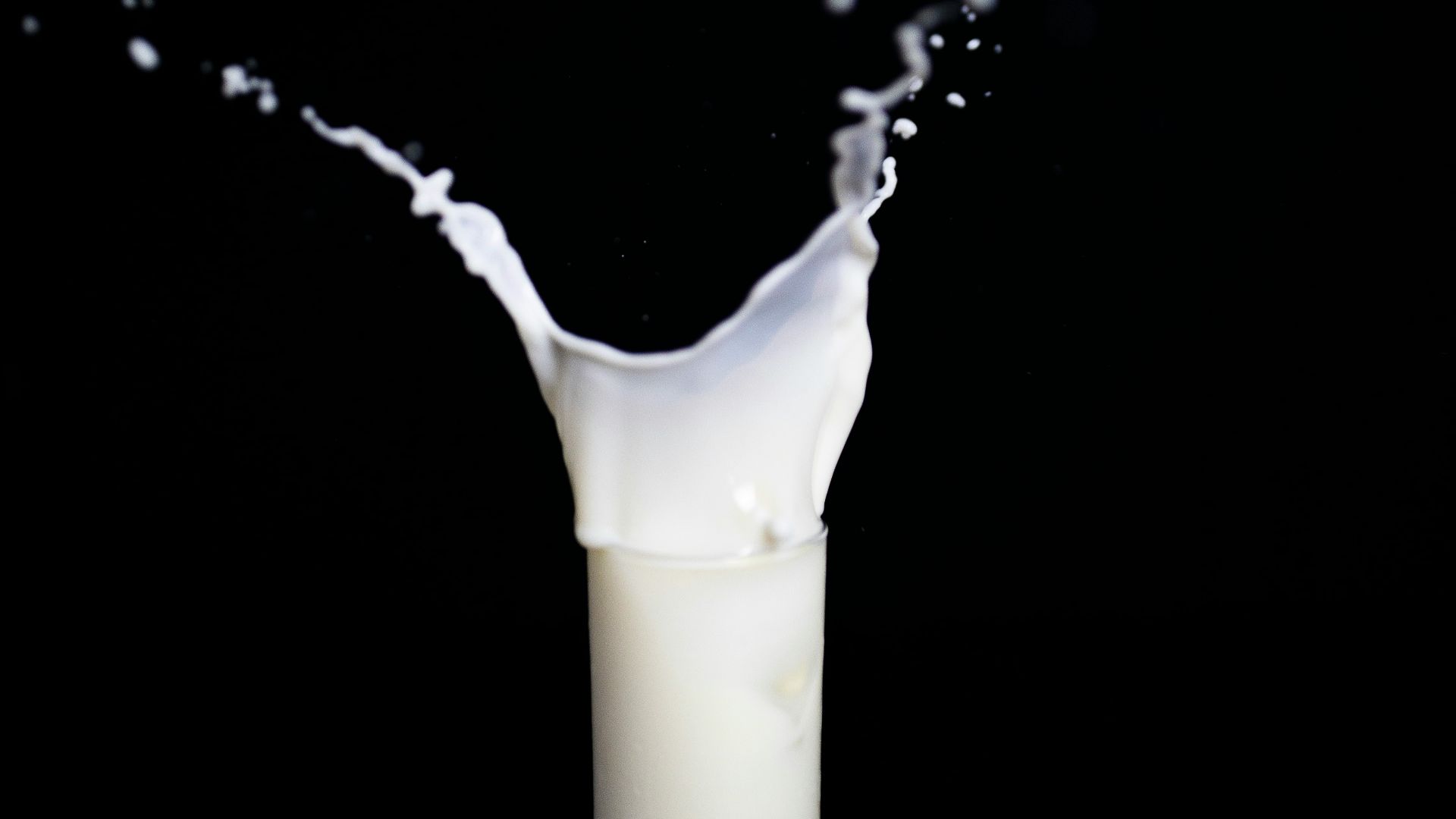 3. Lait cru (non pasteurisé)