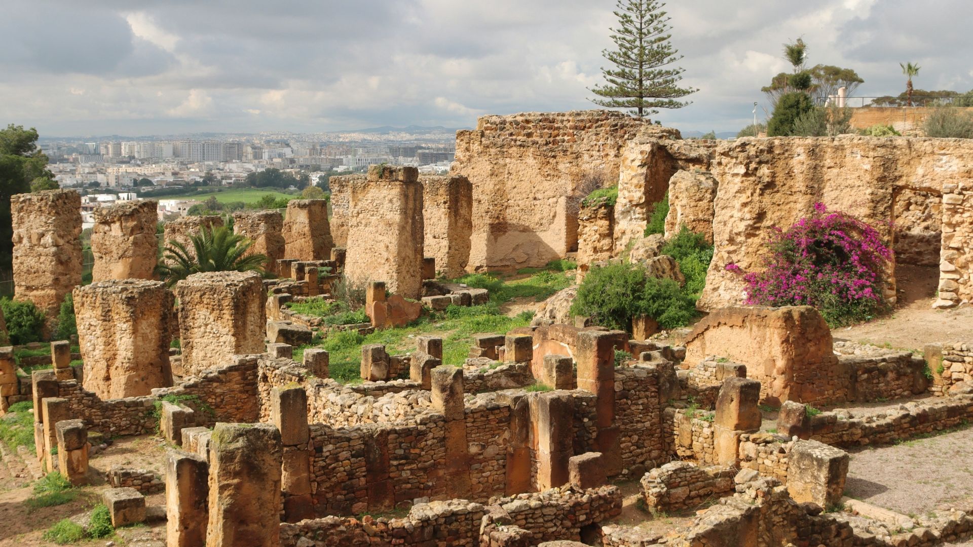 14. Armée carthaginoise