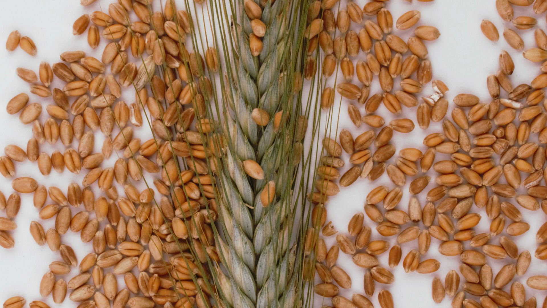 8. Pâtes à l'orge plutôt que pâtes blanches