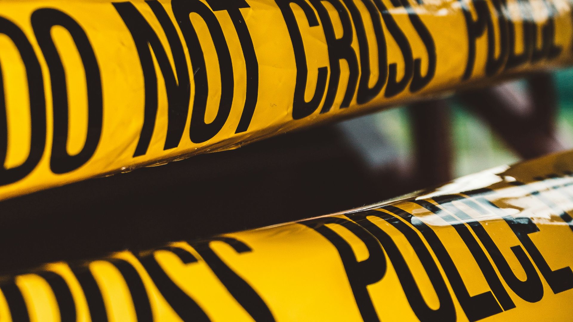 7. Passionné de crimes réels