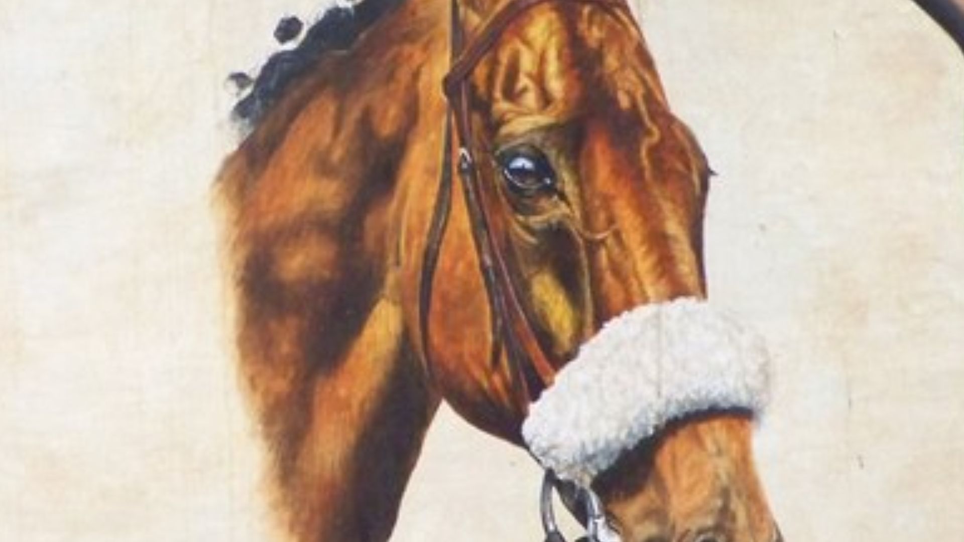 15. Red Rum : le roi du Grand National