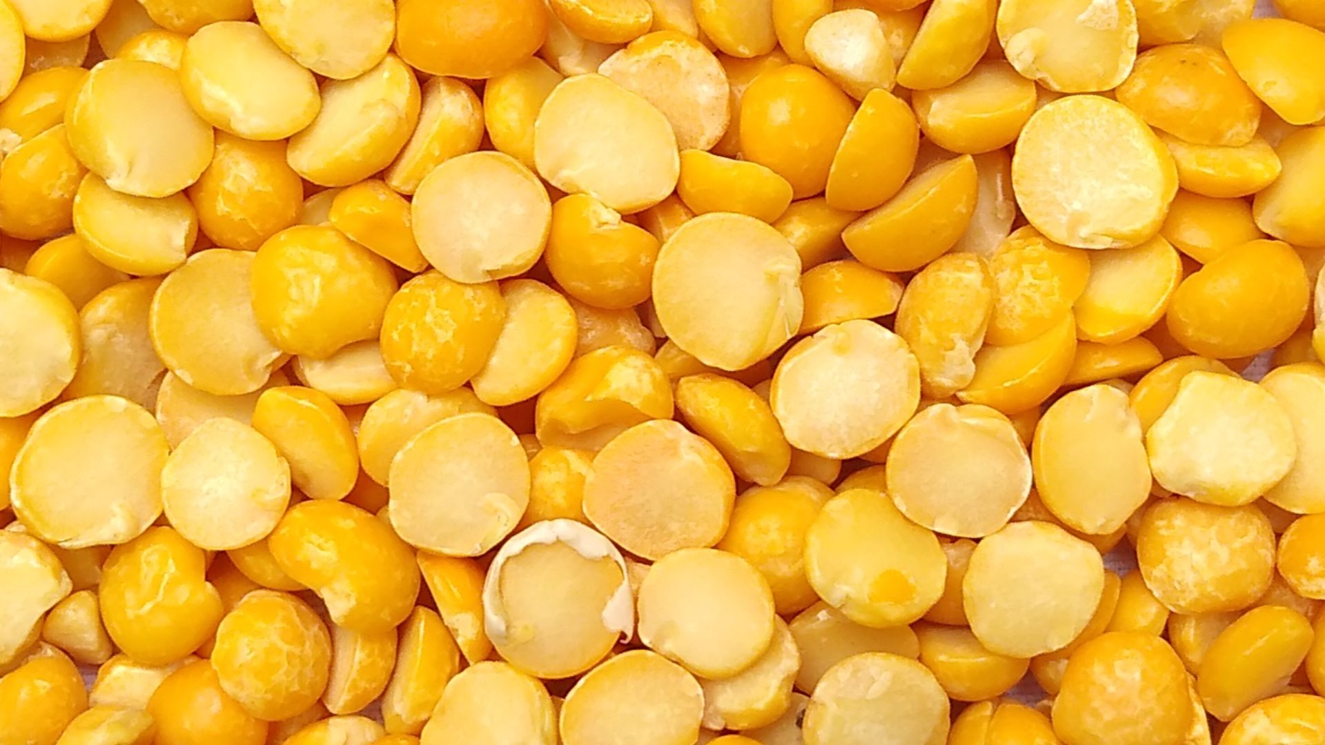 6. Pois cassés séchés