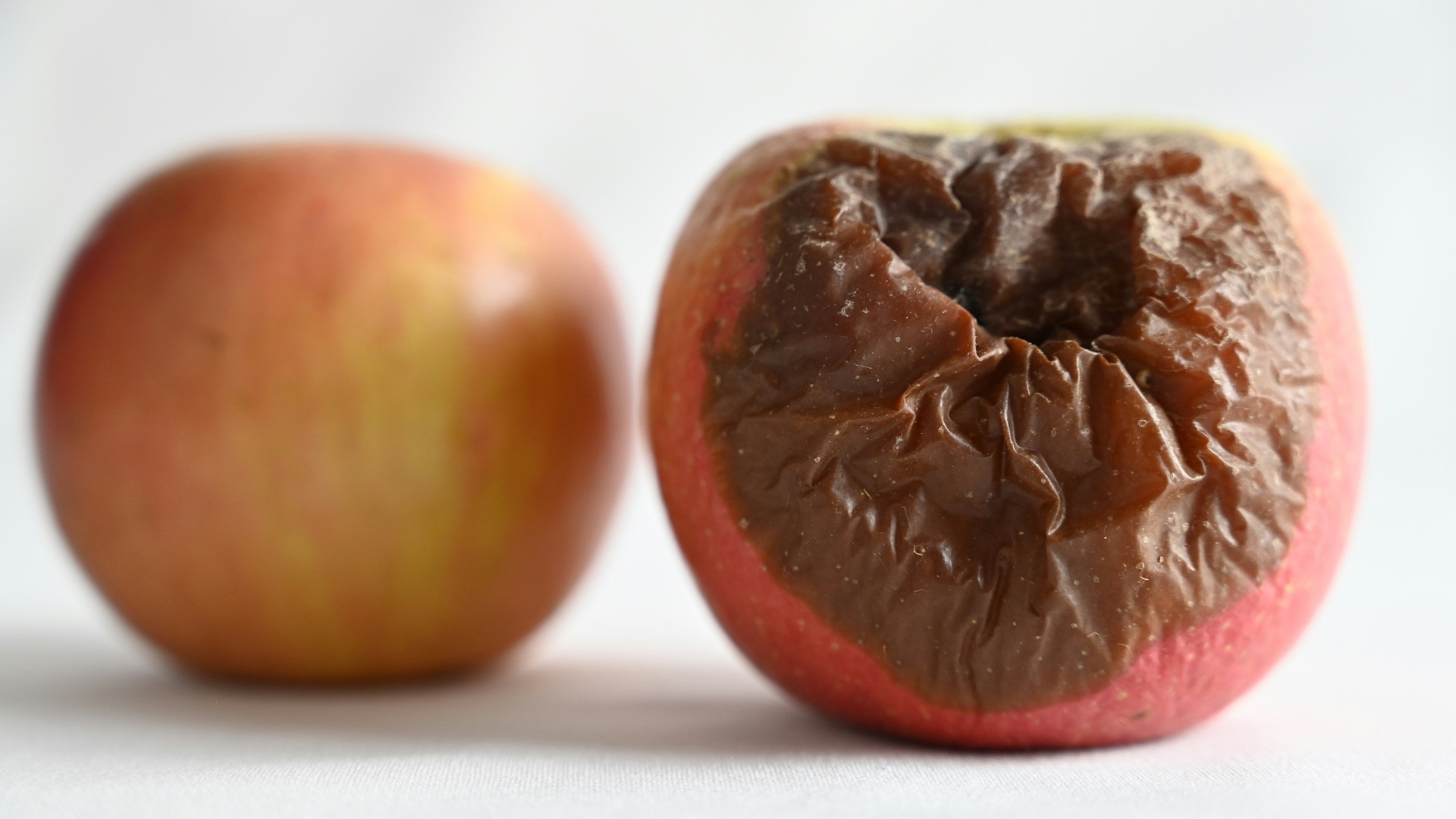 4. Apprenez à faire la différence entre un produit avarié et un produit qui a simplement perdu de sa fraîcheur
