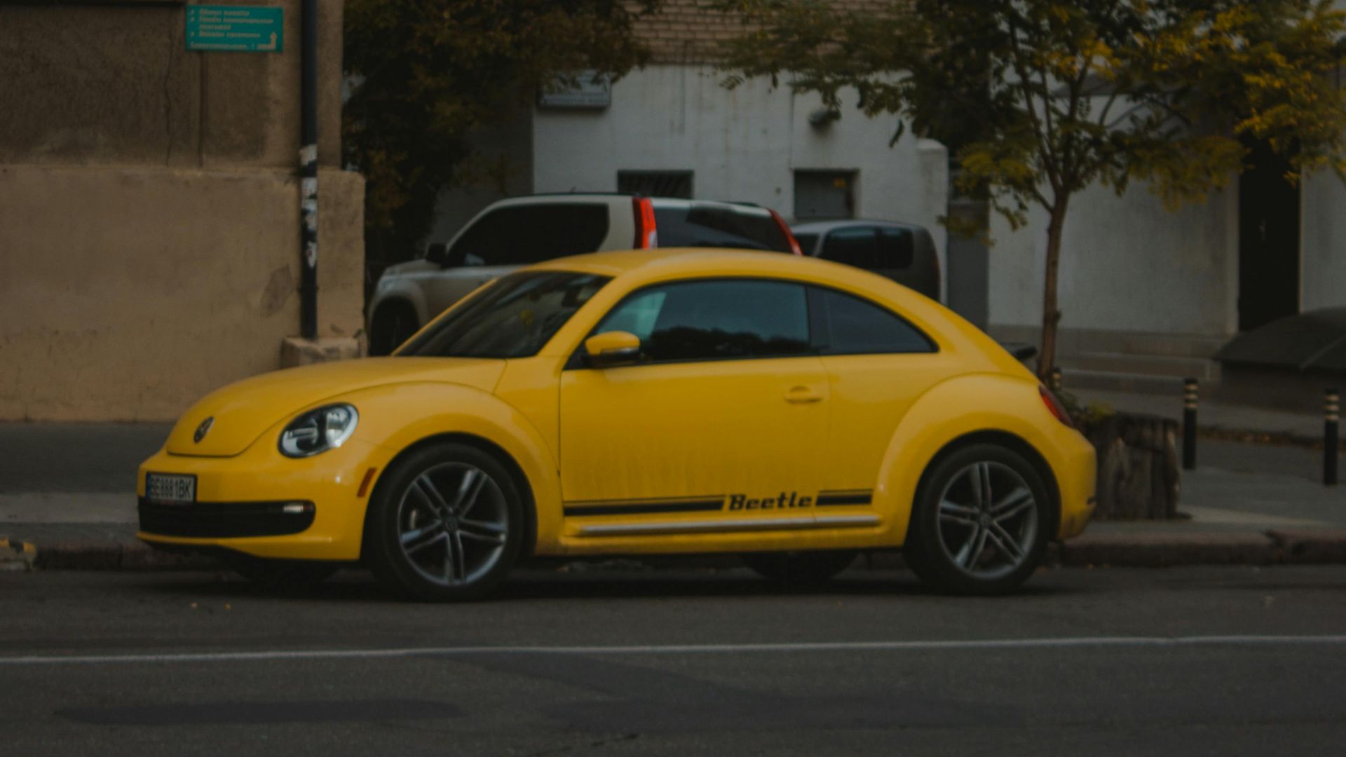 13. La longévité exige de la patience