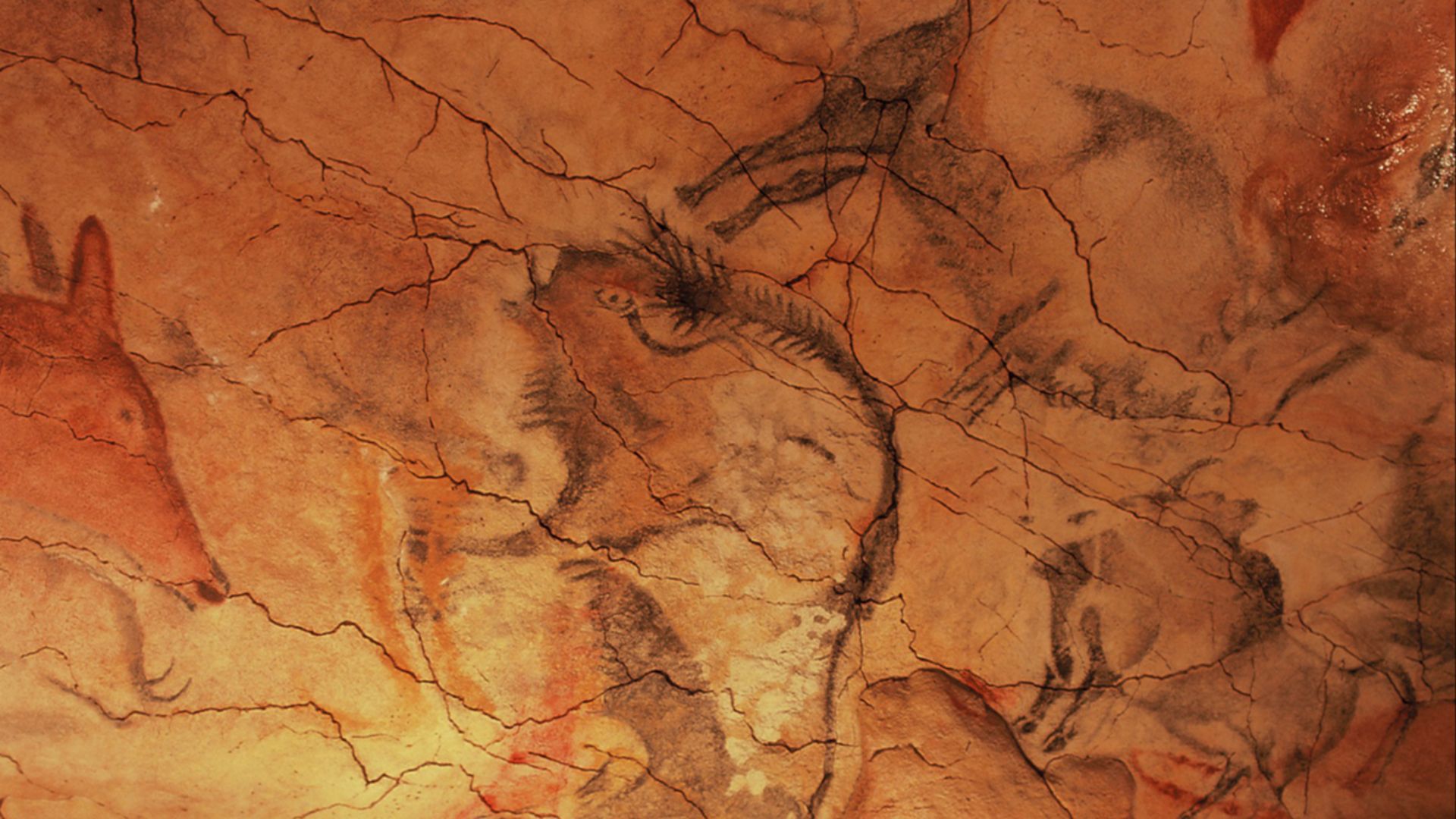 5. Altamira vue par les yeux d'un enfant