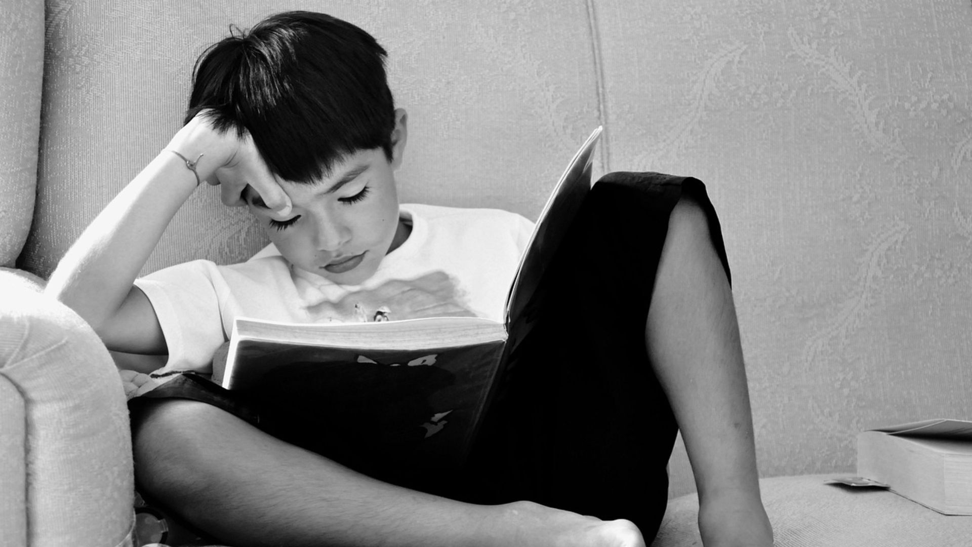 17. Présenter les livres de la série