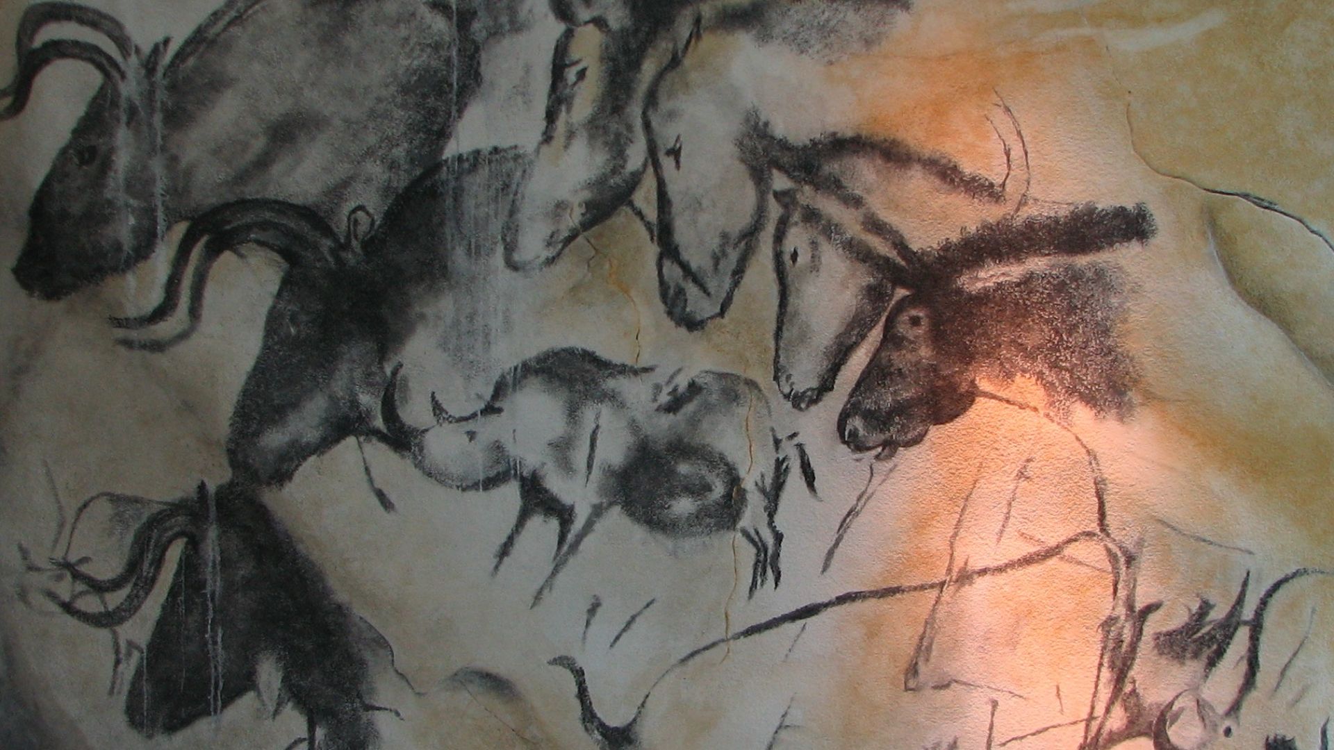 19. La grotte Chauvet, derrière une ouverture cachée