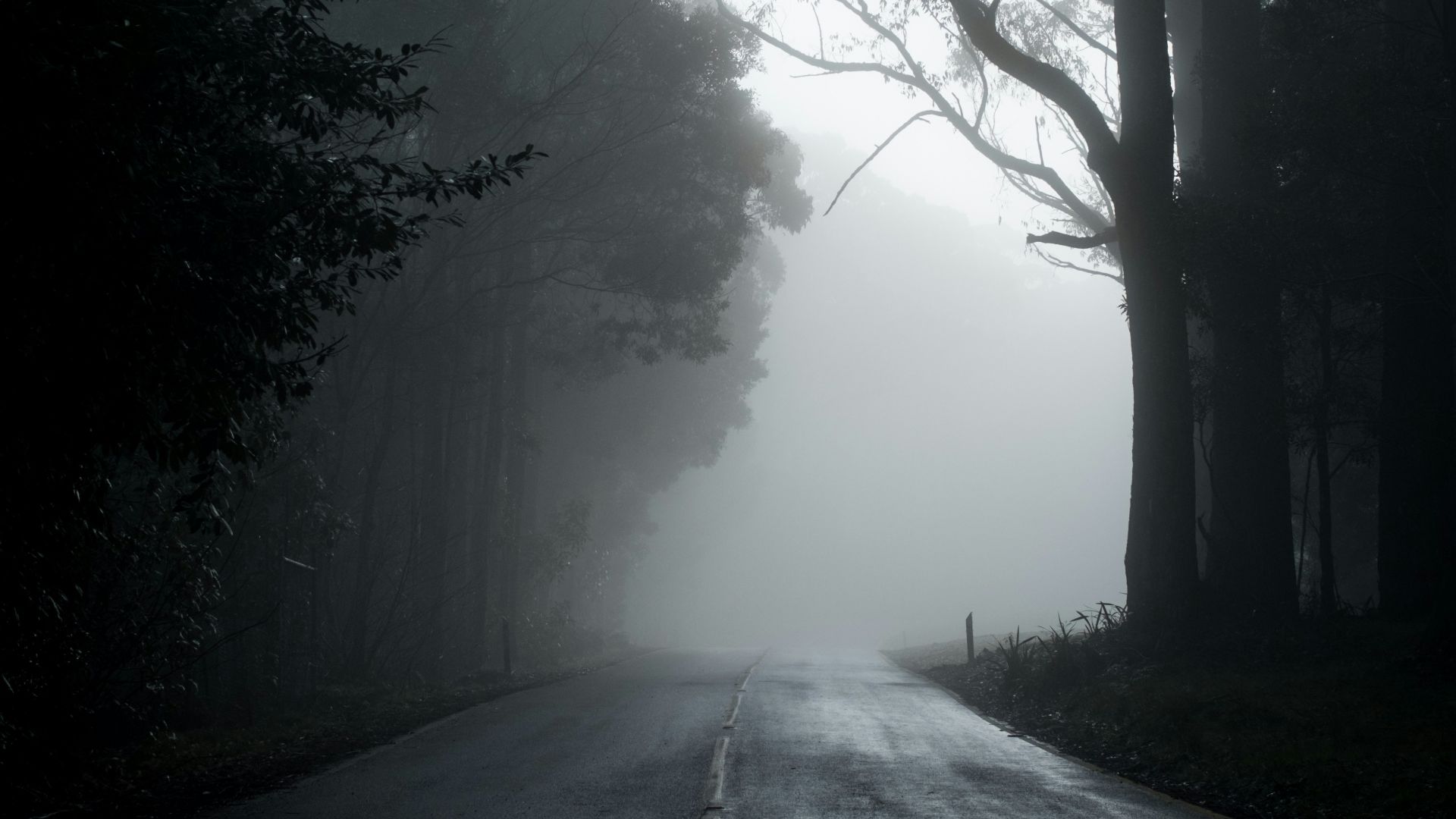 7. Ils ont affirmé avoir traité des milliers de dossiers