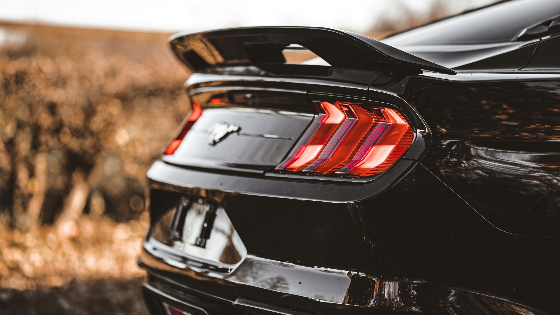 11. Les Mustang à quatre cylindres turbo existent bel et bien