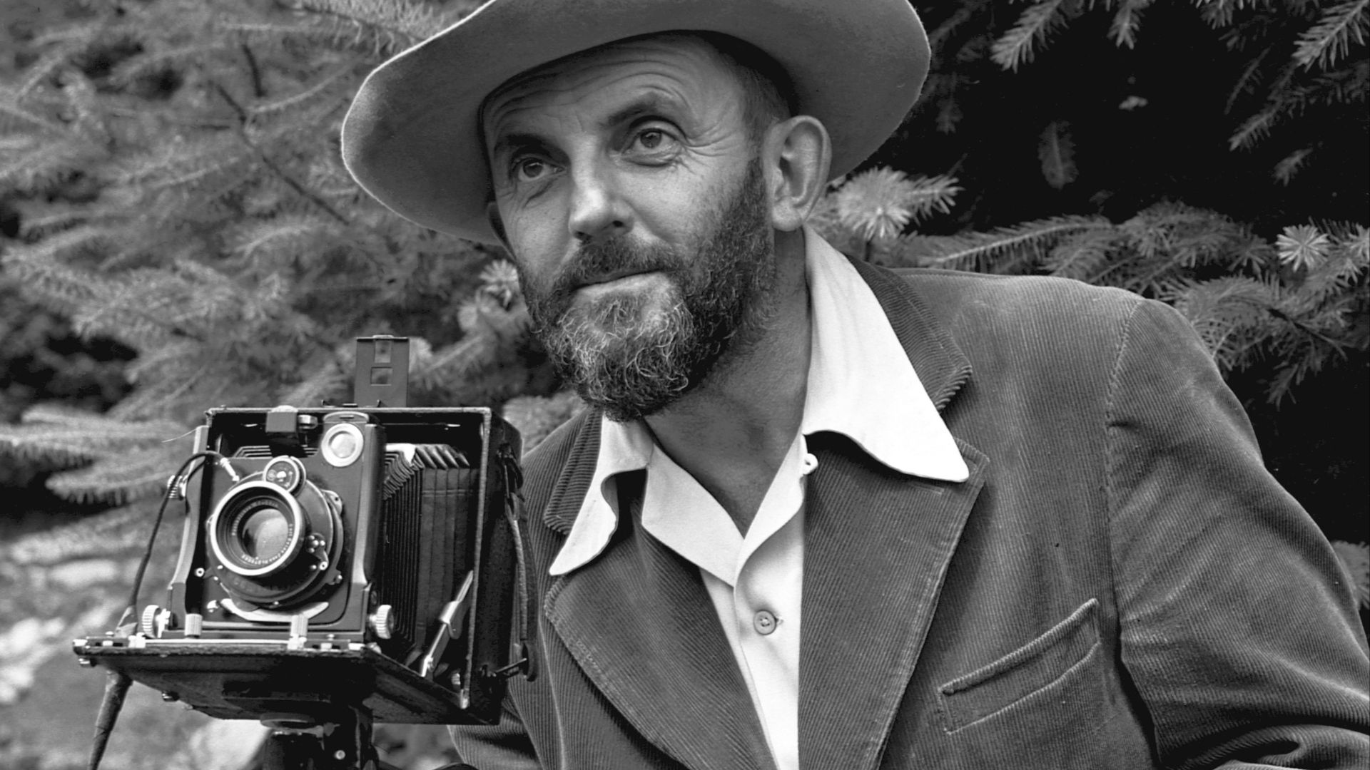 15. Appareils photo grand public