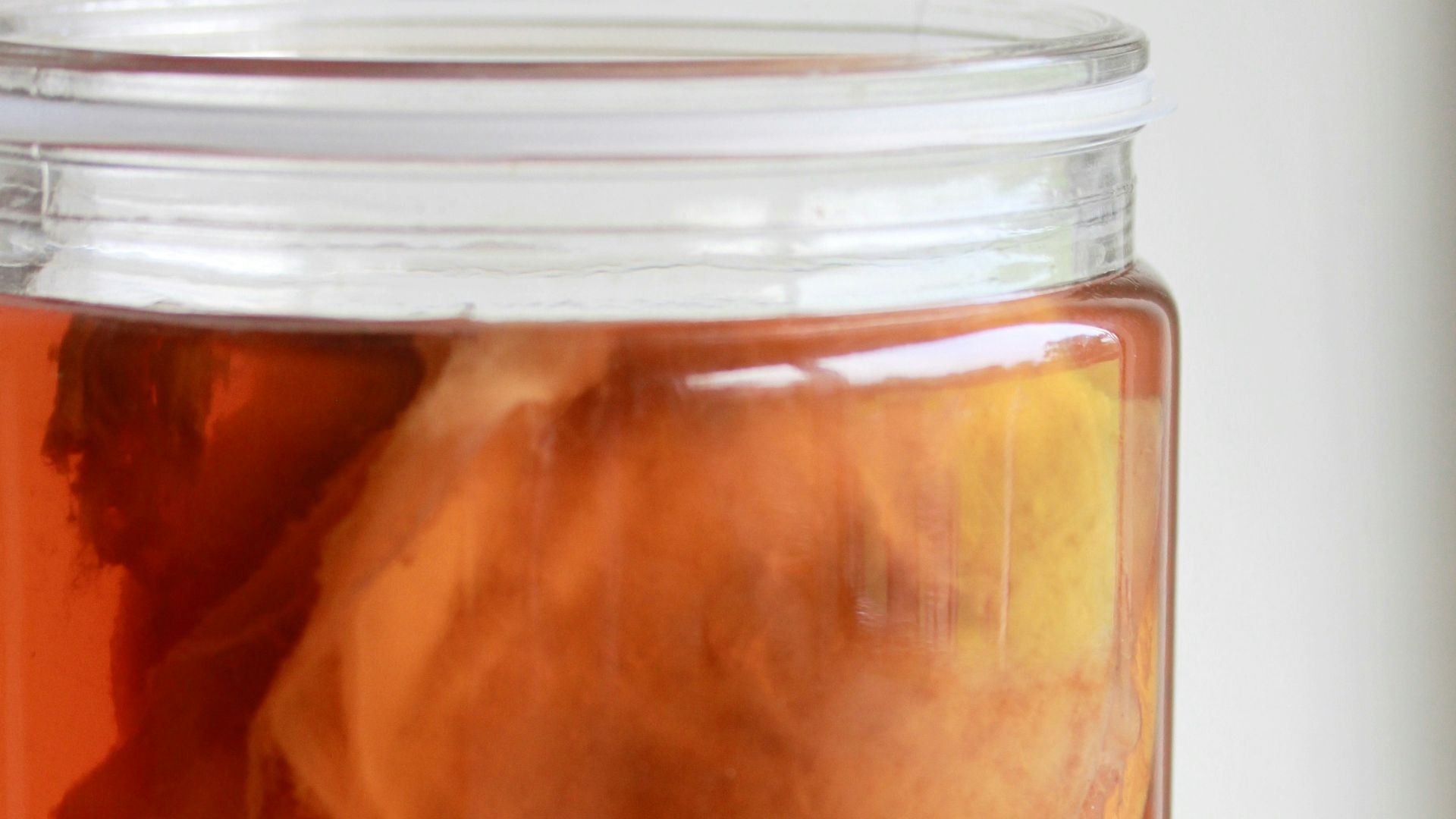 7. Kombucha