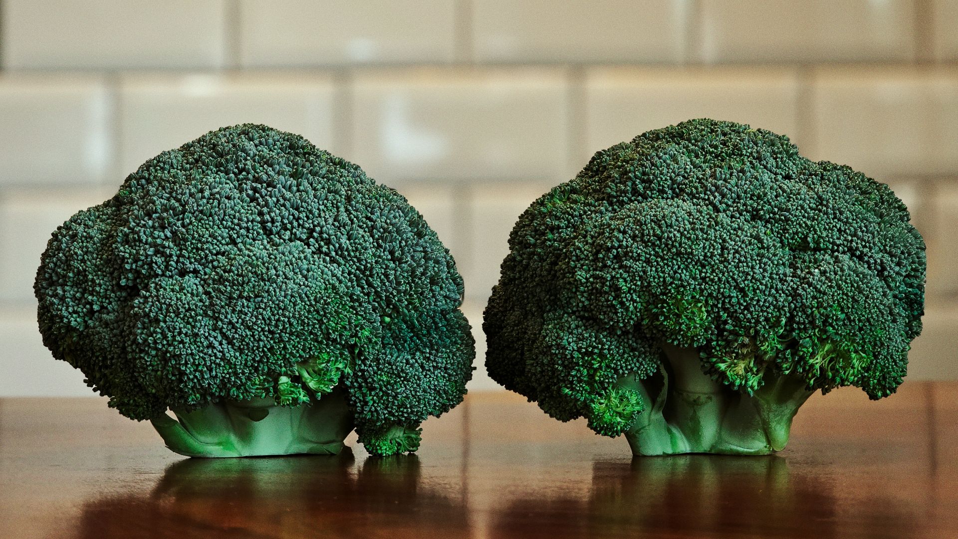 24. Gratin de poulet et de brocoli