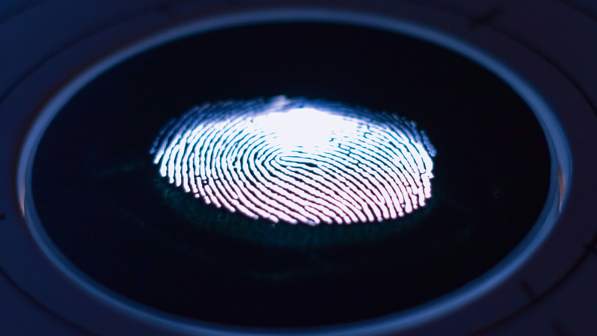 7. Kit d'analyse d'empreintes digitales CSI