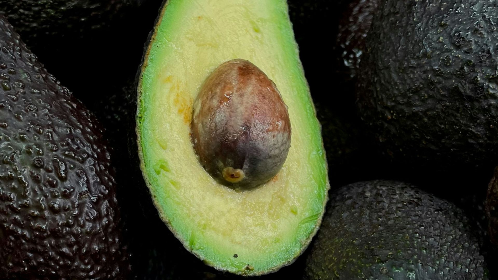 15. Avocats farcis à la caprese