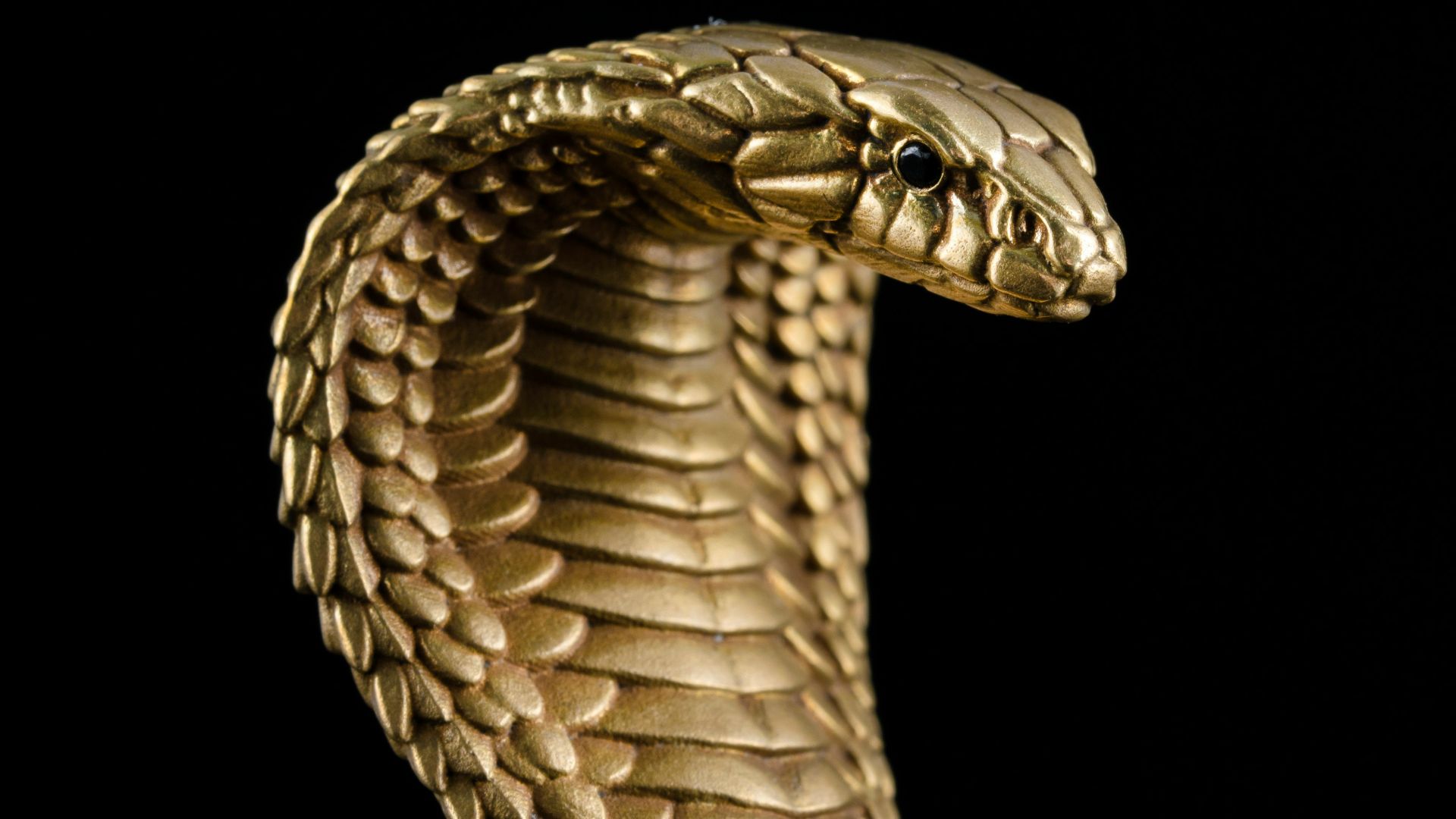 2. Le cobra grillé de Pol Pot