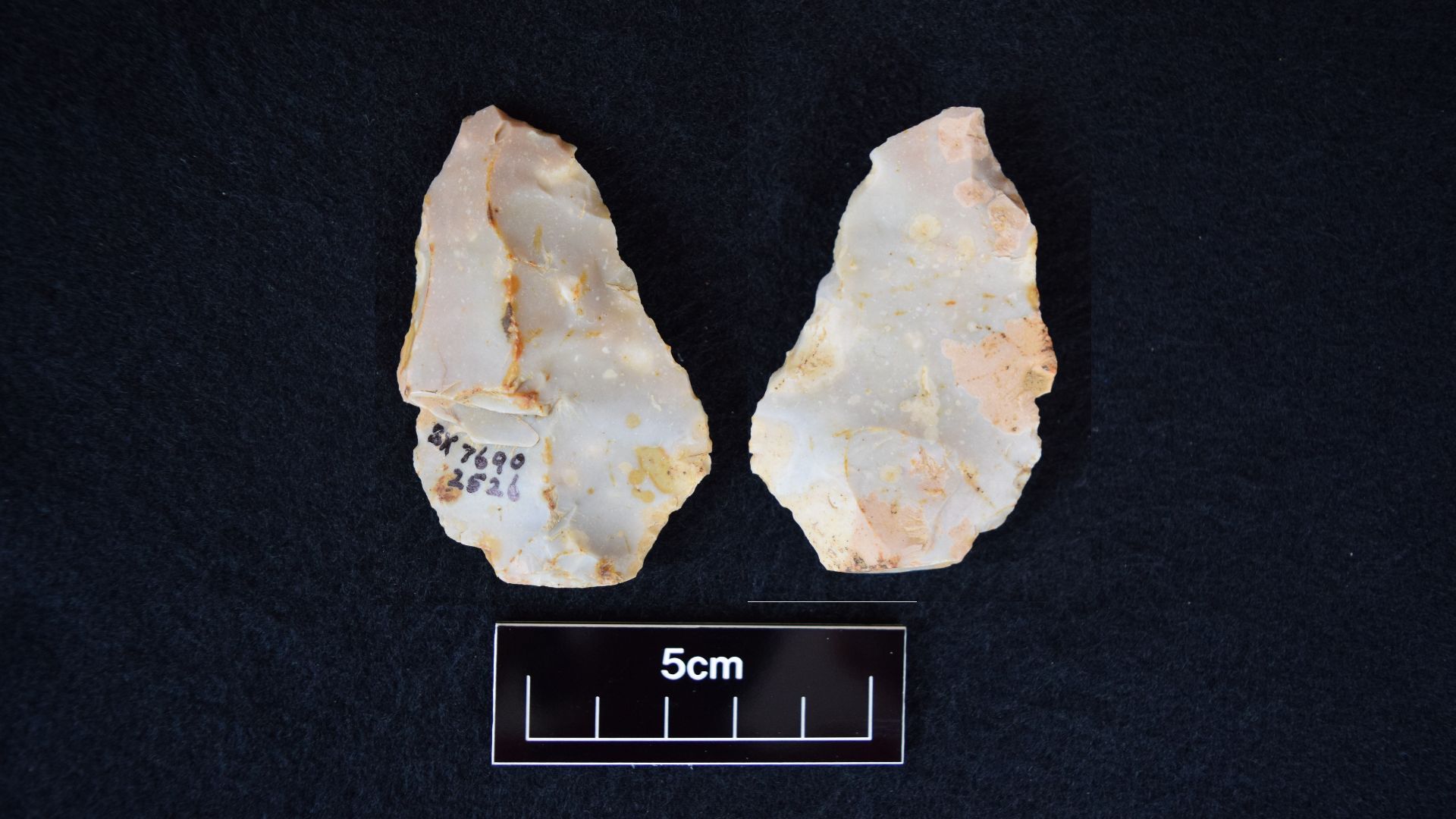 4. Noyaux de Levallois