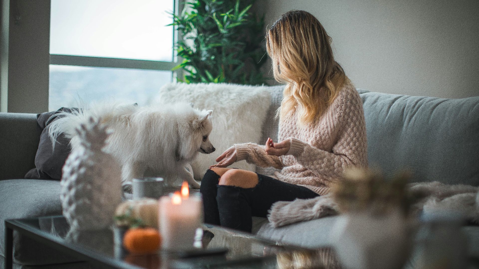 20. Intégrez la sécurité domestique à votre routine quotidienne