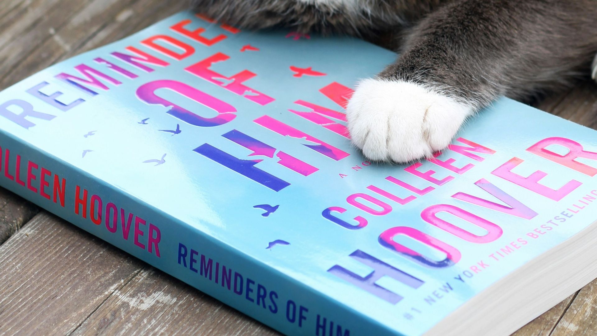 2. Lire les livres de Colleen Hoover