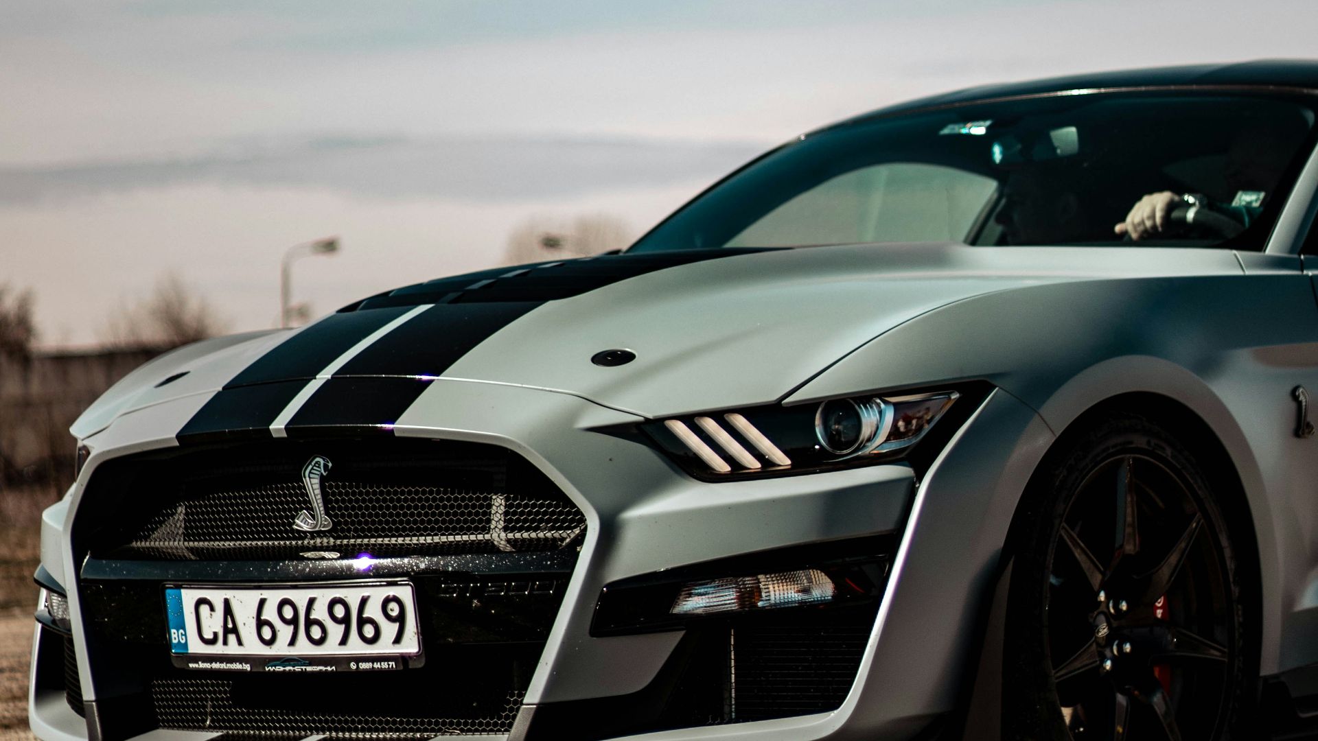 14. Les Shelby Mustang ont élevé la légende d'un cran