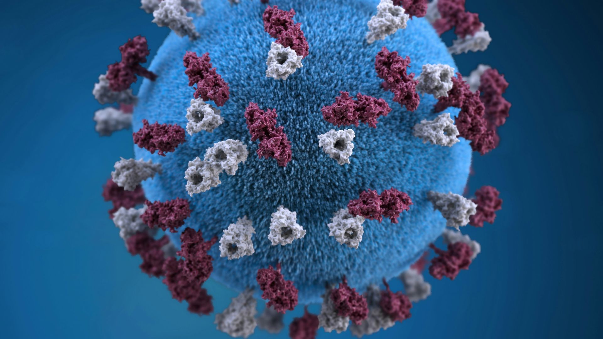 18. TTV (virus Torque Teno)