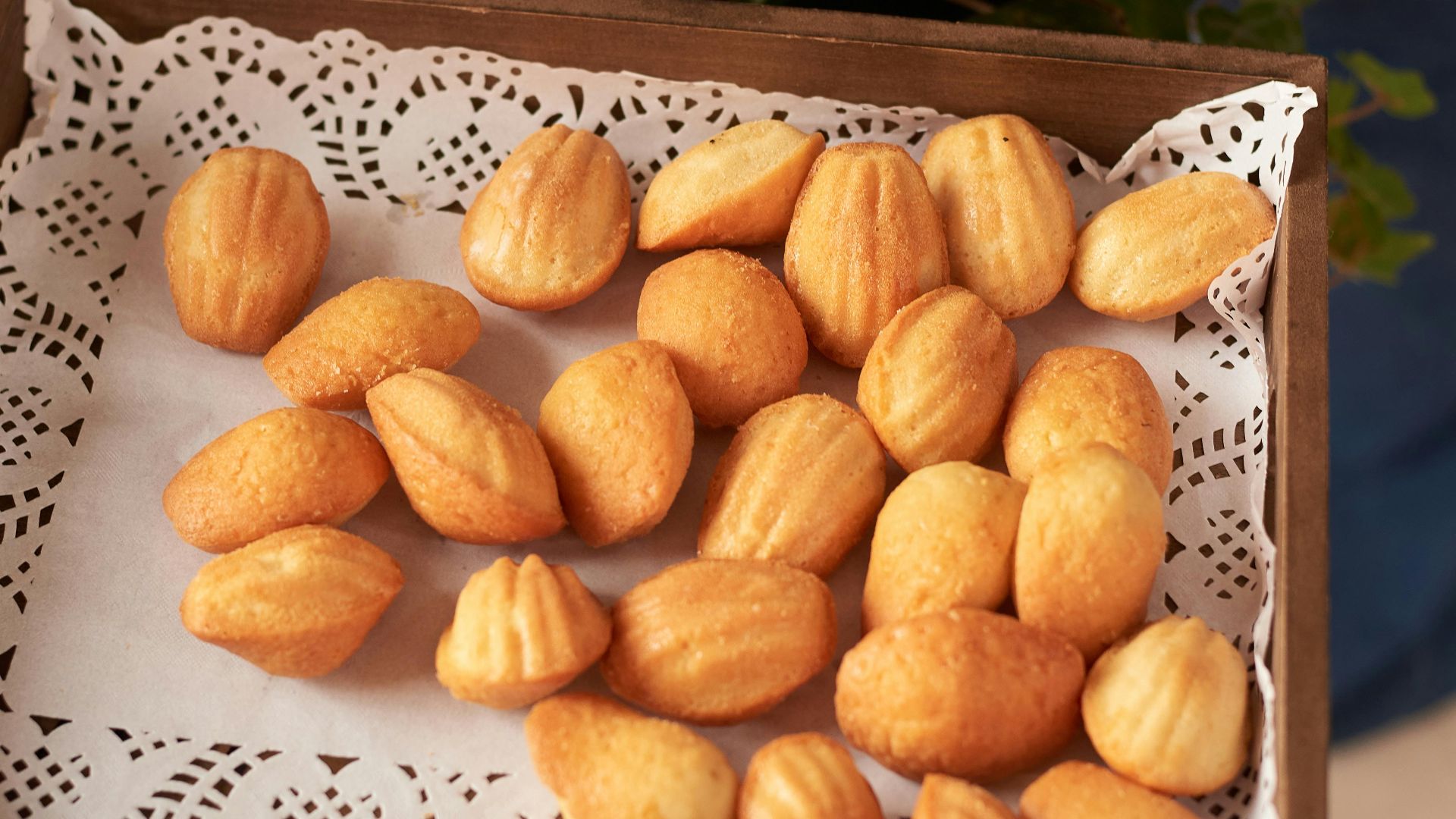 20. Madeleine