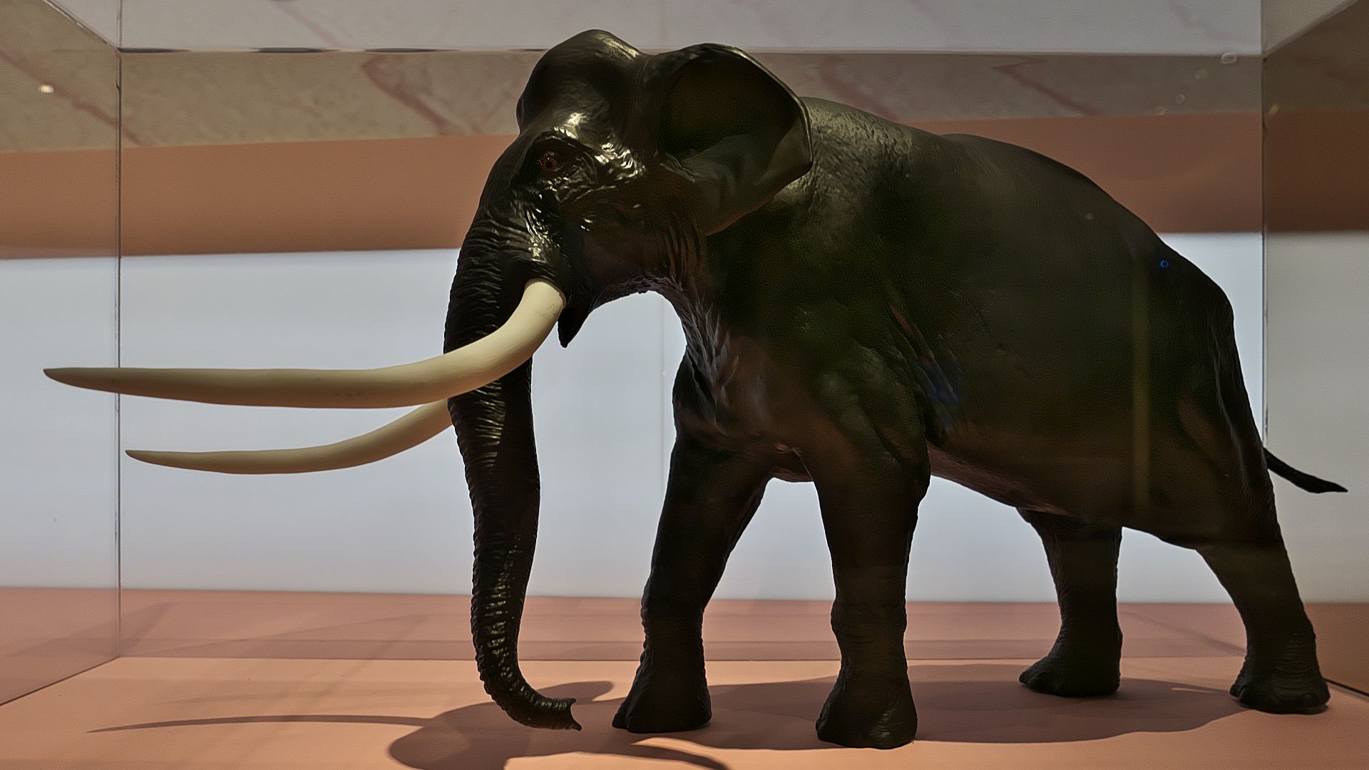 14. Éléphant à défenses droites