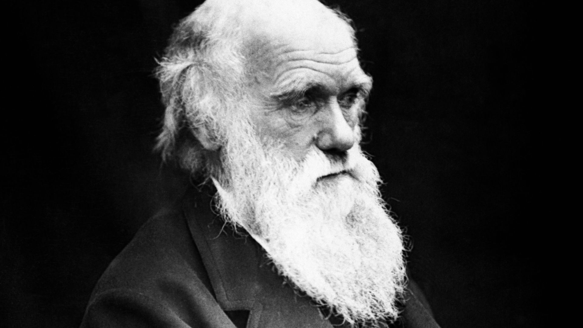 14. Charles Darwin