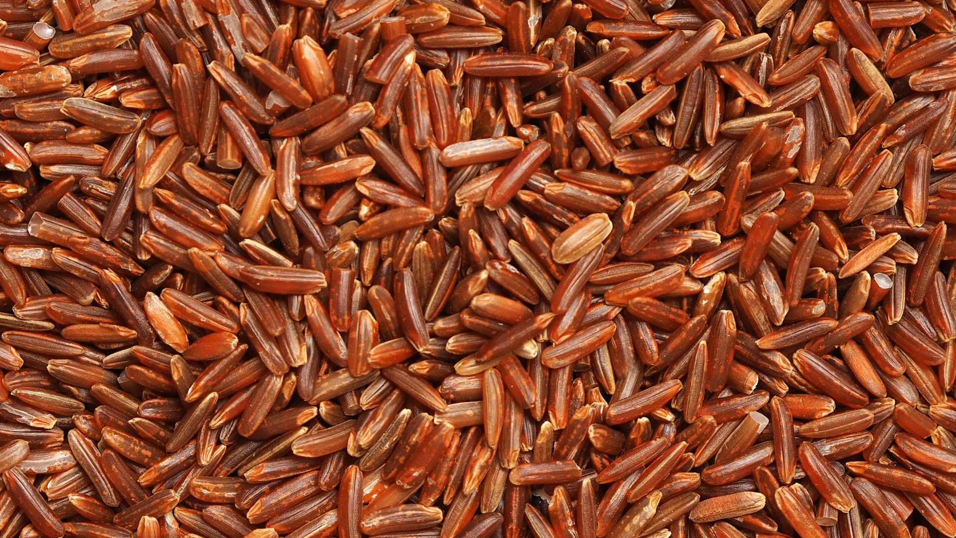 16. Mélanges de riz sauvage et de riz blanc