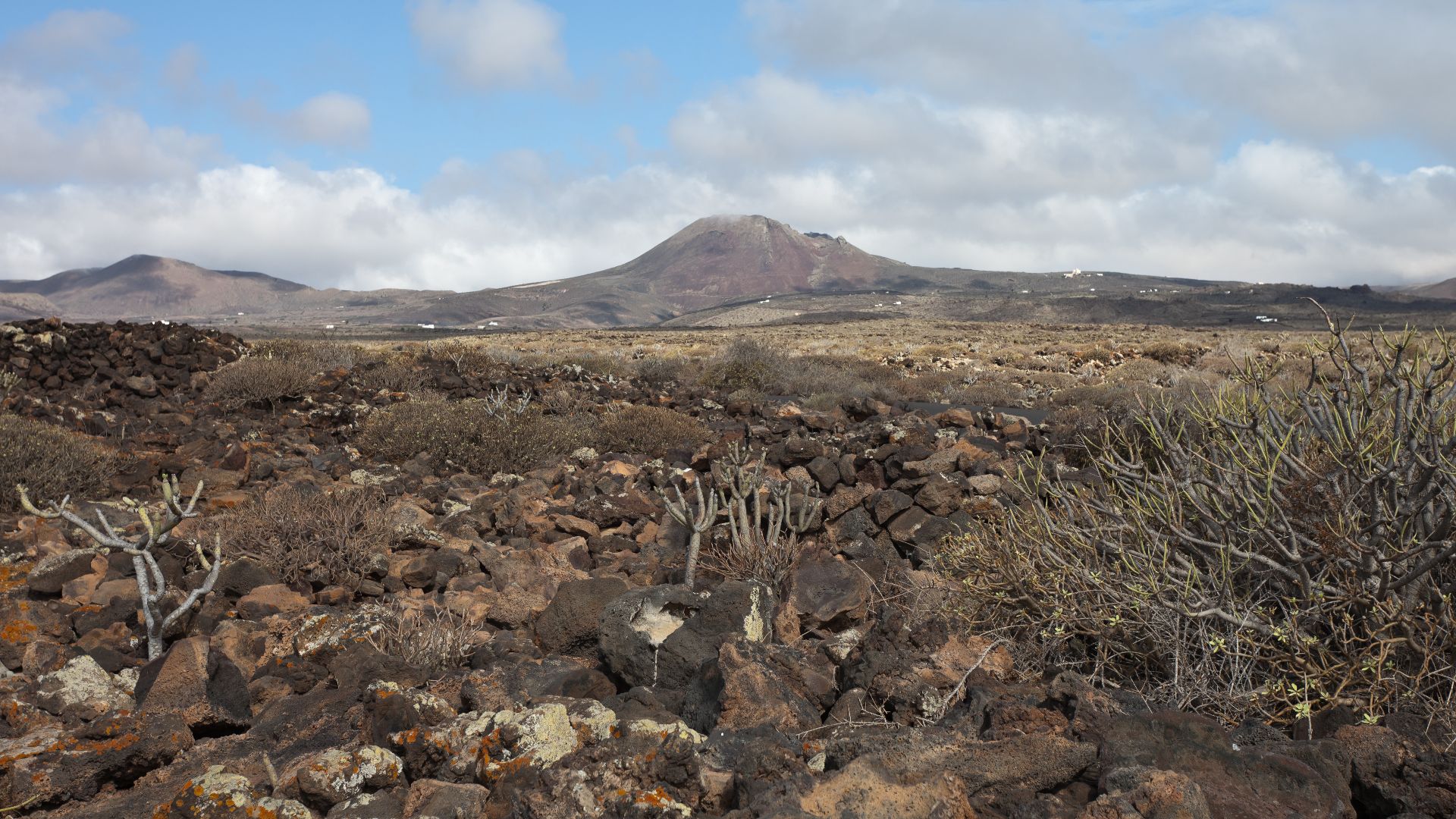 13. Site Q, Guatemala