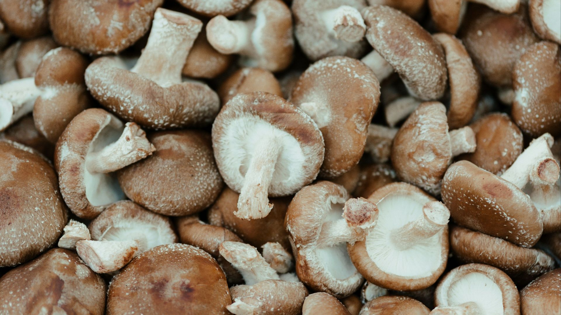 2. Champignons