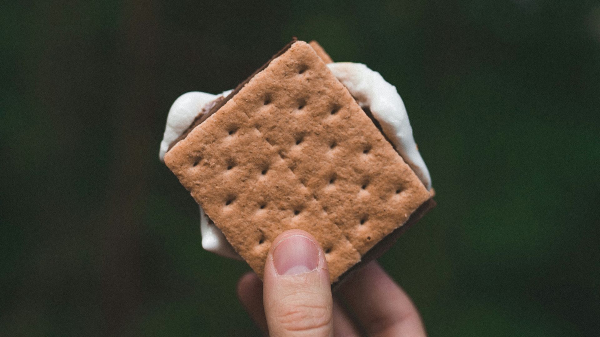 19. S'mores
