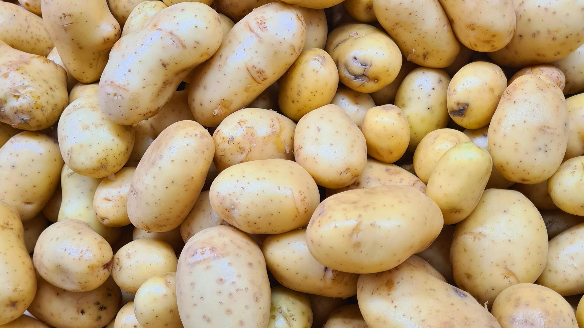 1. Pommes de terre blanches