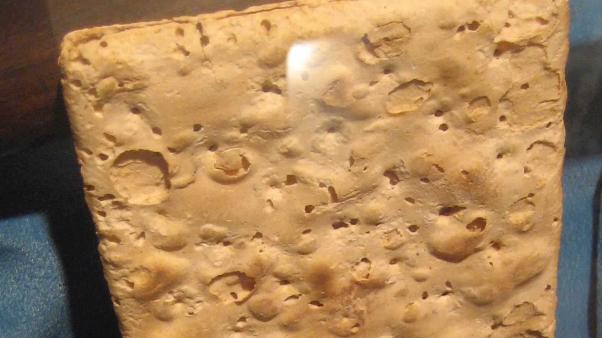 4. Biscuits de marine