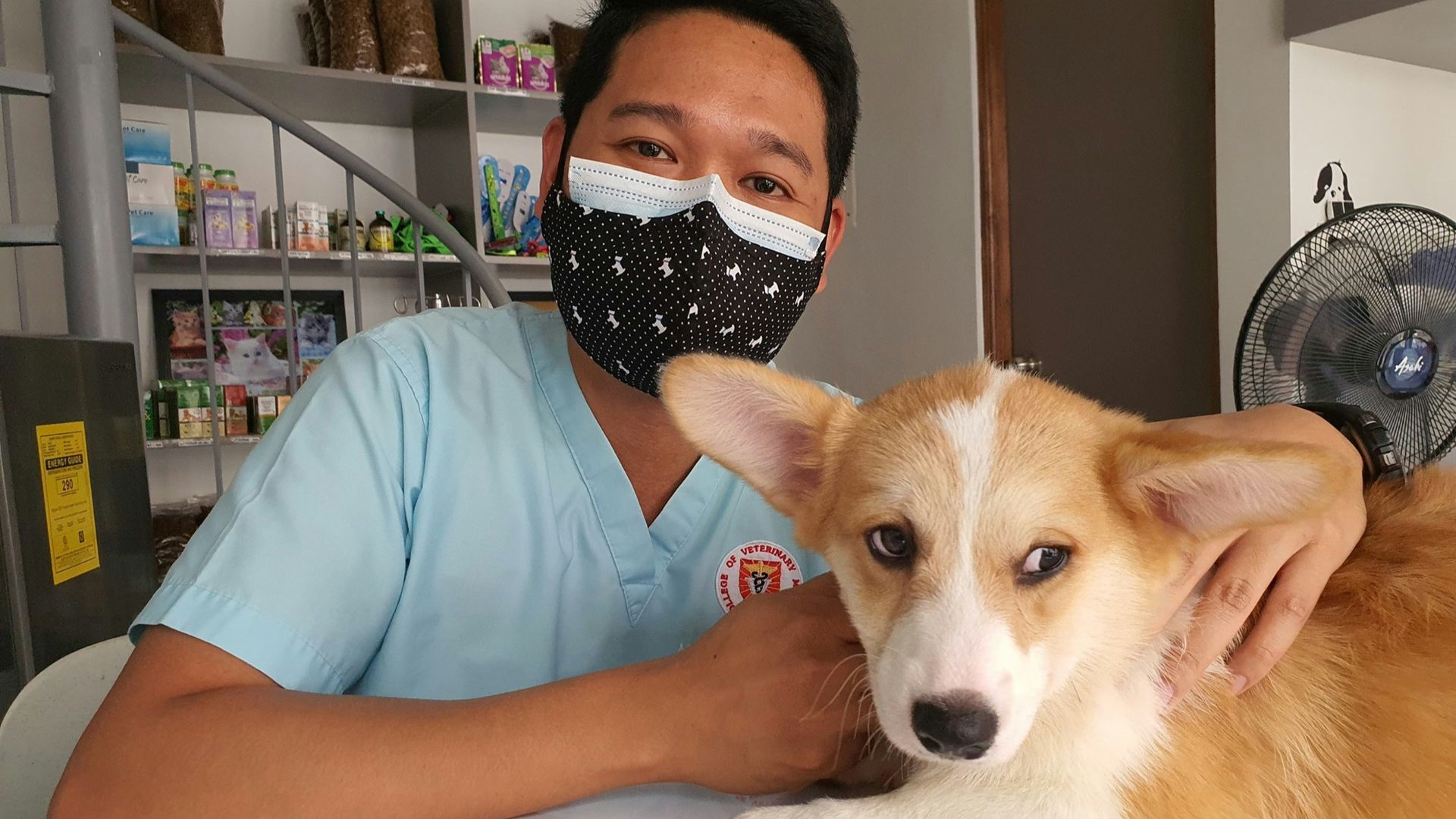 10. Travail vétérinaire ou soins aux animaux