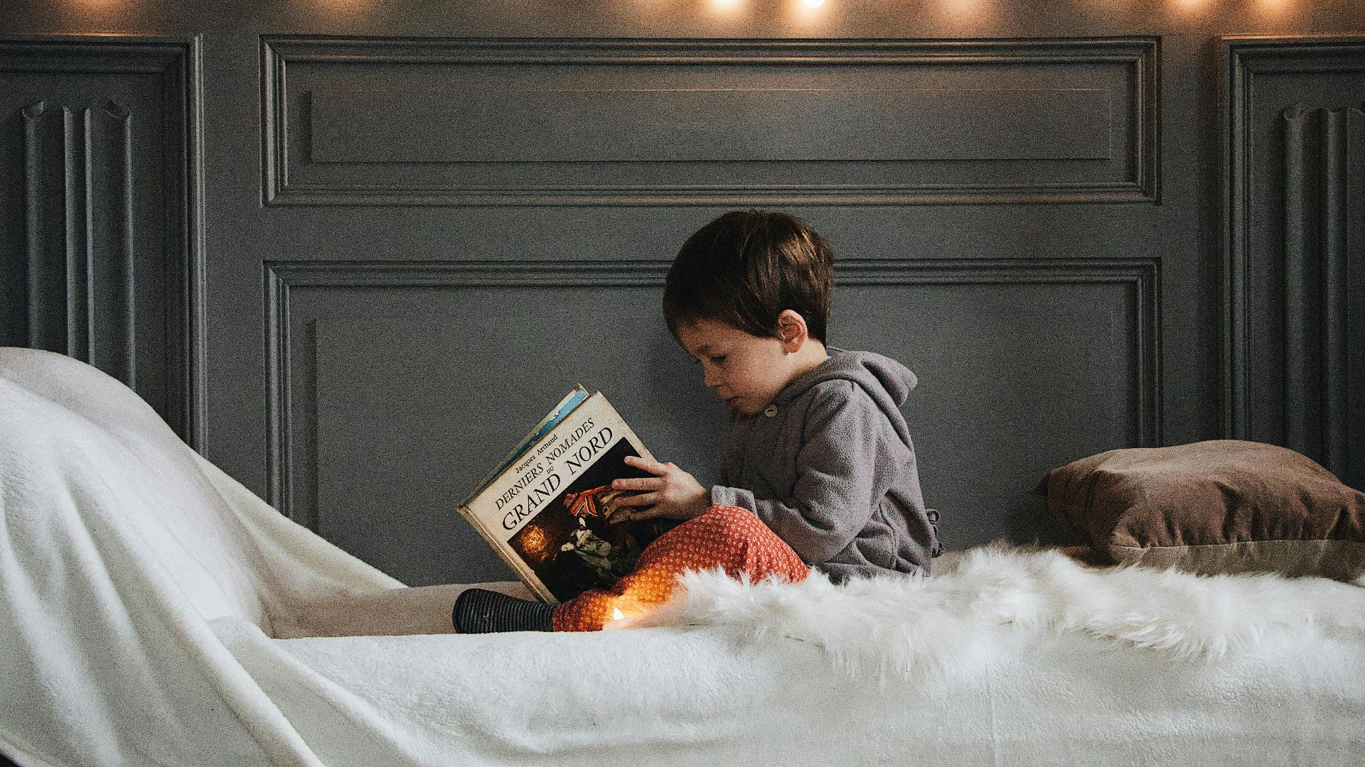 11. Reliez les livres à des centres d'intérêt réels