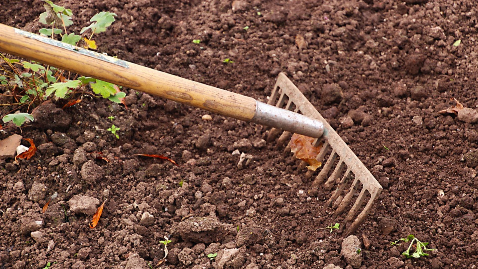 15. Support mural pour outils de jardinage