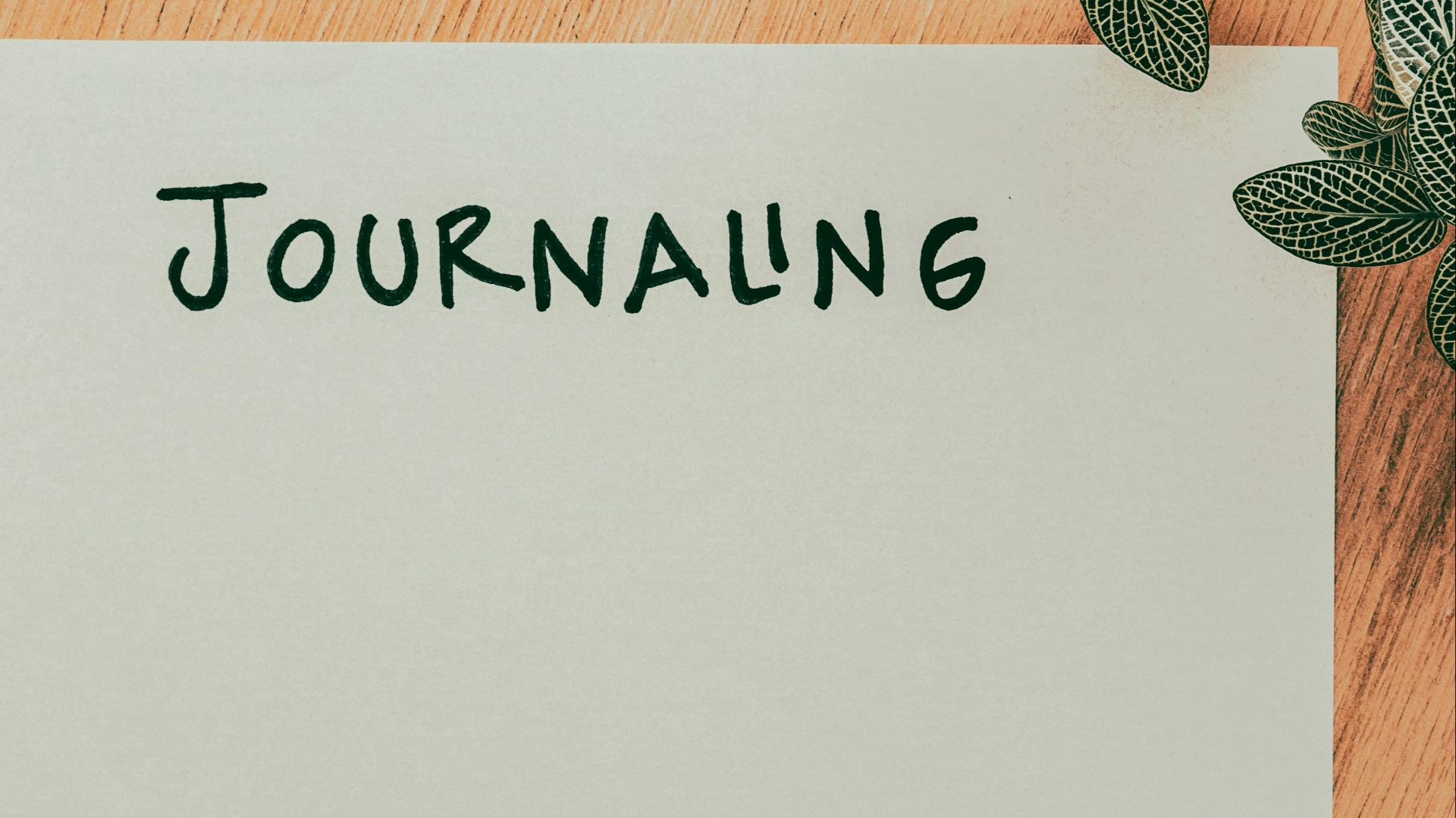 11. Rédaction de journaux intimes