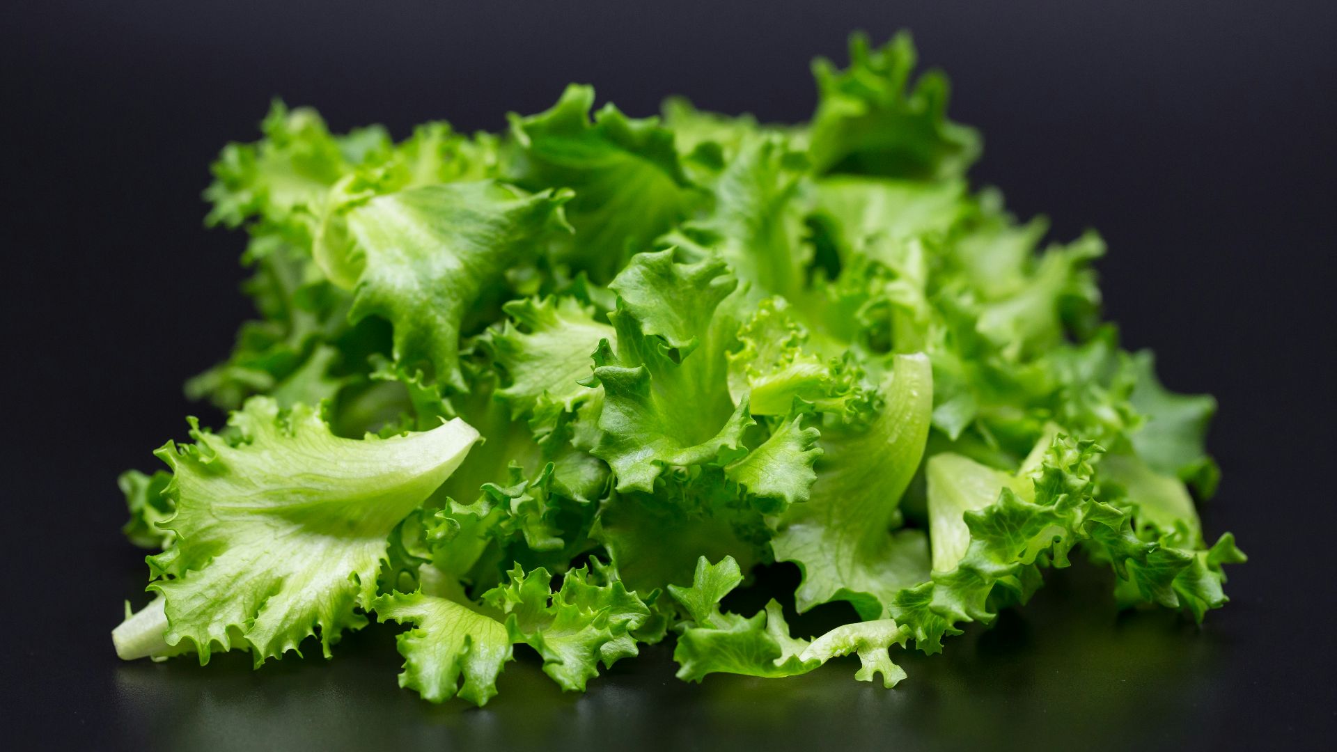 3. Salades vertes en sachet