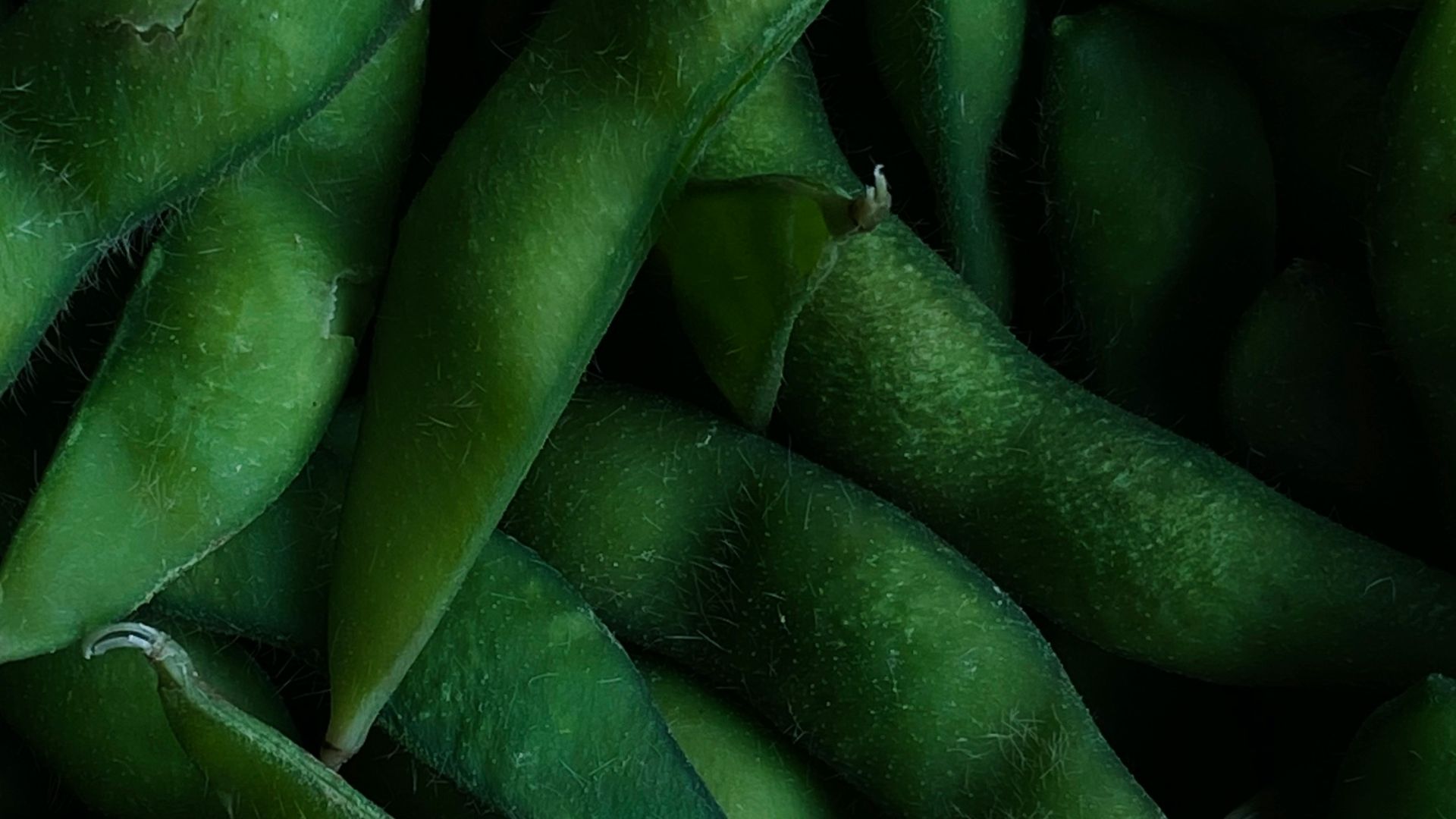 17. Edamame