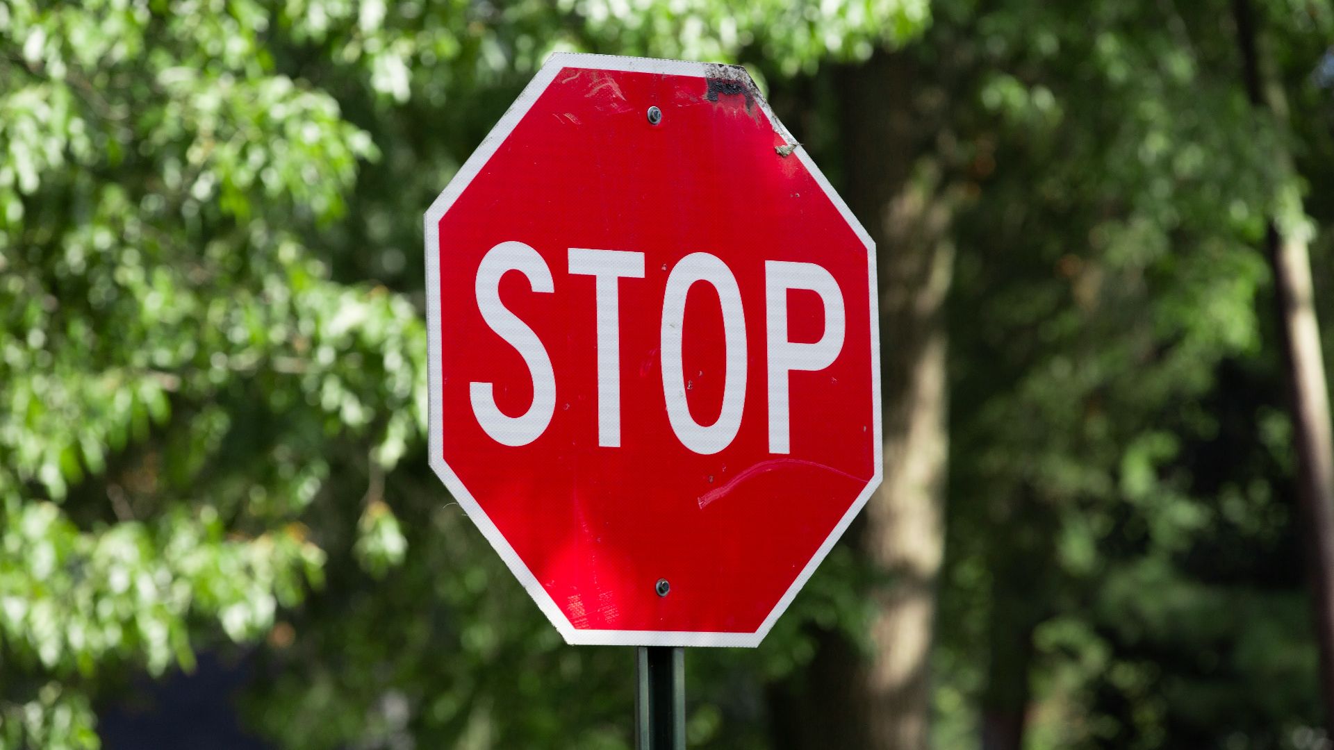 6. Les conducteurs qui ne respectent pas les panneaux « Stop »