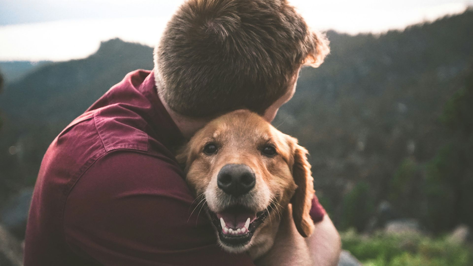 14. Quand il s'occupe naturellement des enfants ou des animaux domestiques
