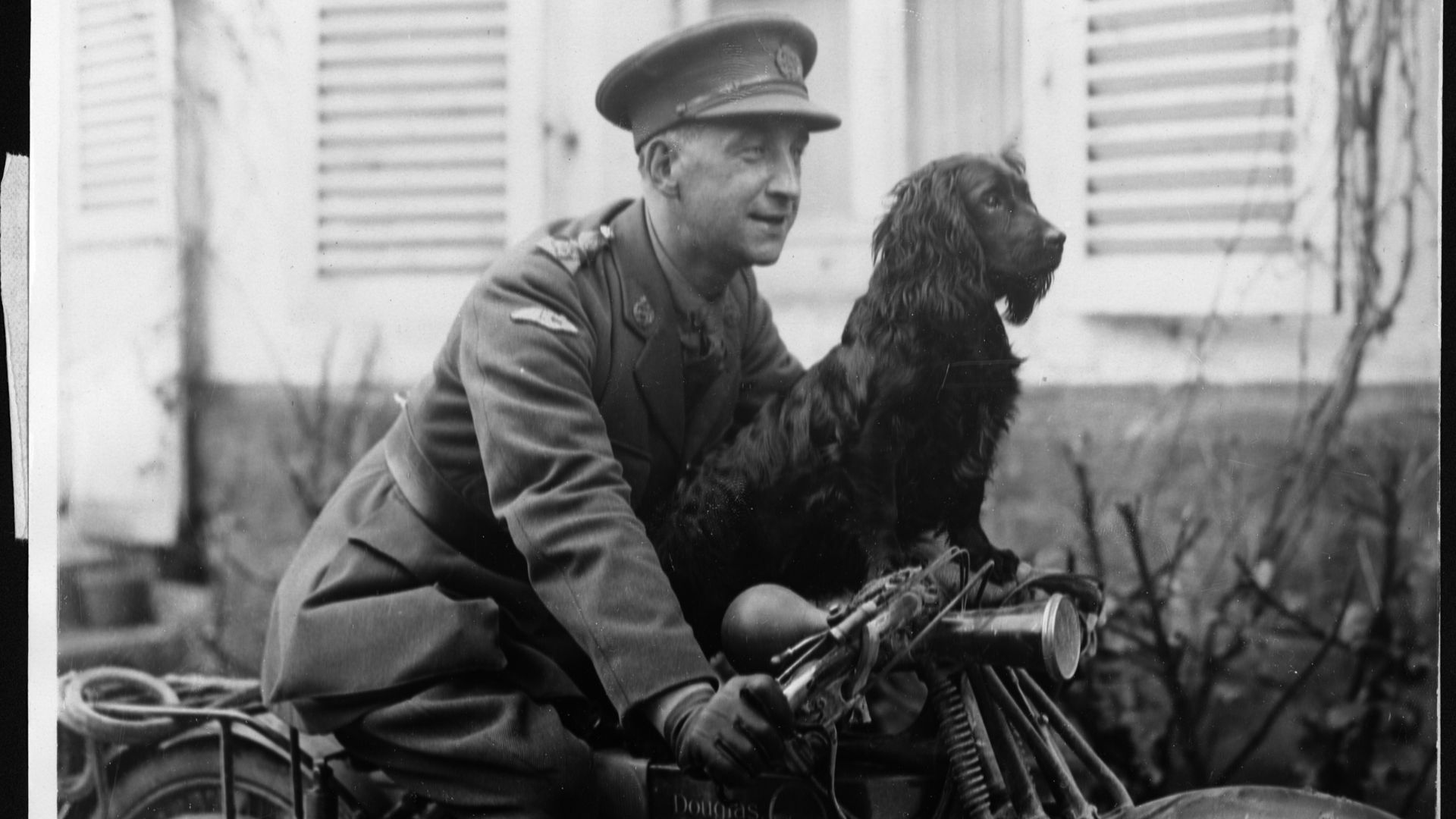 8. La guerre du chien errant