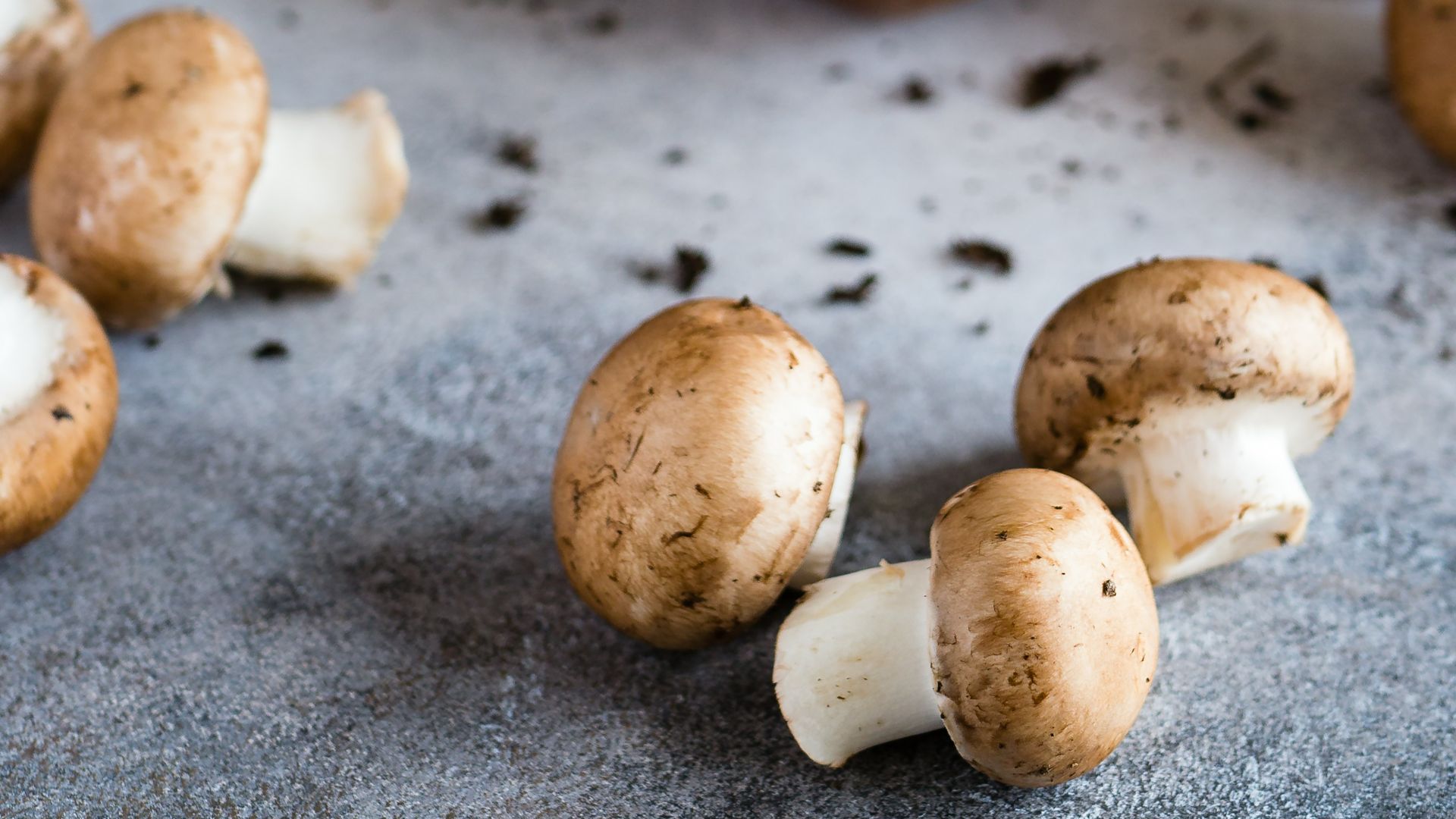 11. Champignons